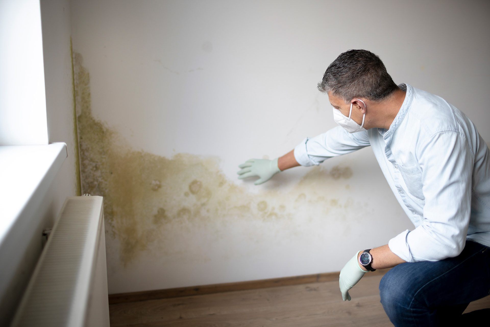 Mold/Bacteria Job Site