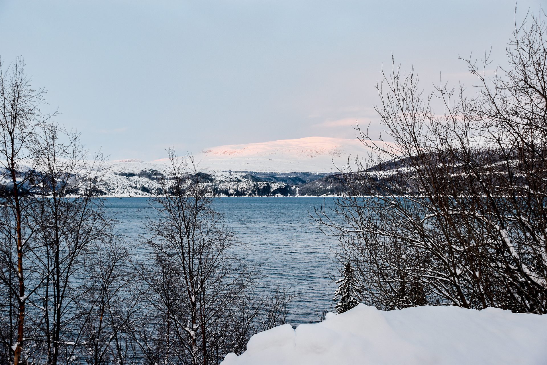 Natural landscape, Water, Sky, Cloud, Tree, Twig, Watercourse, Lake, Plant, Snow