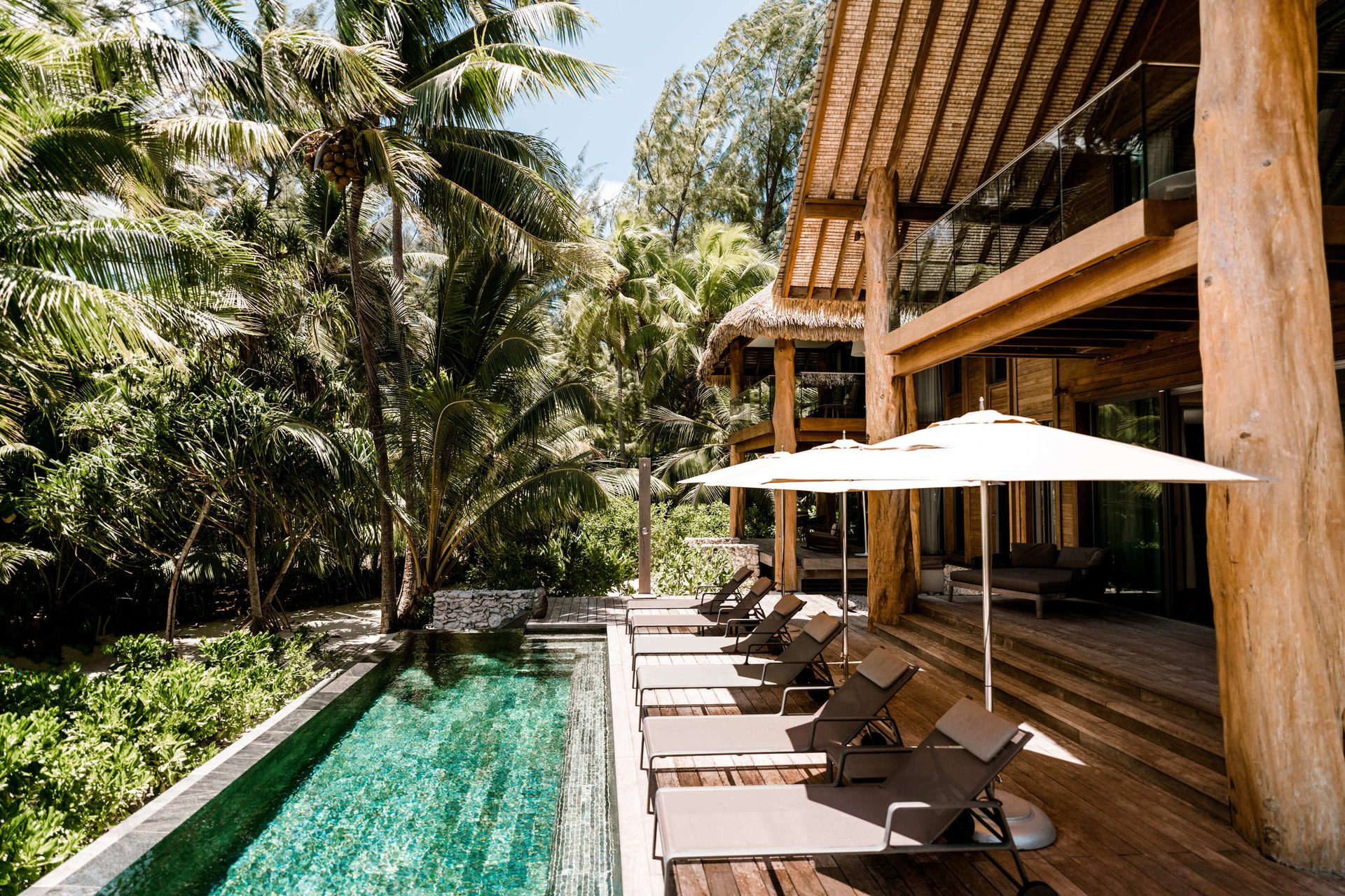 Swimming pool, Plant, Water, Property, Tree, Chair, Arecales, Leisure, Shade