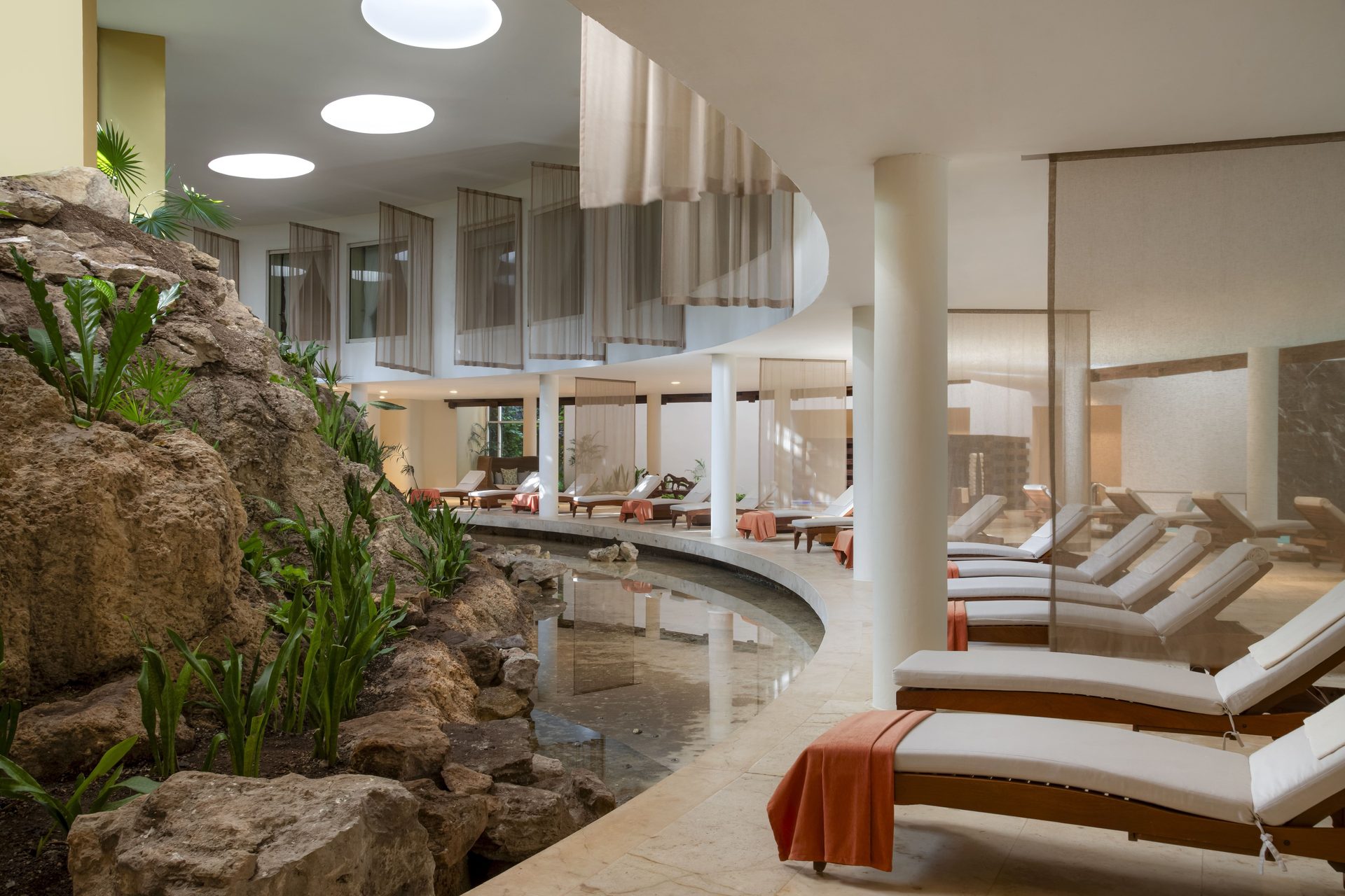 Interior design, Plant, Flooring, Houseplant