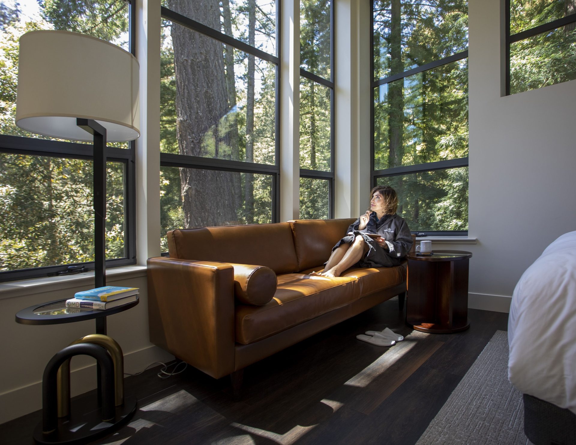 Interior design, Couch, Table, Furniture, Comfort, Plant, Tree, Wood, Shade, Architecture