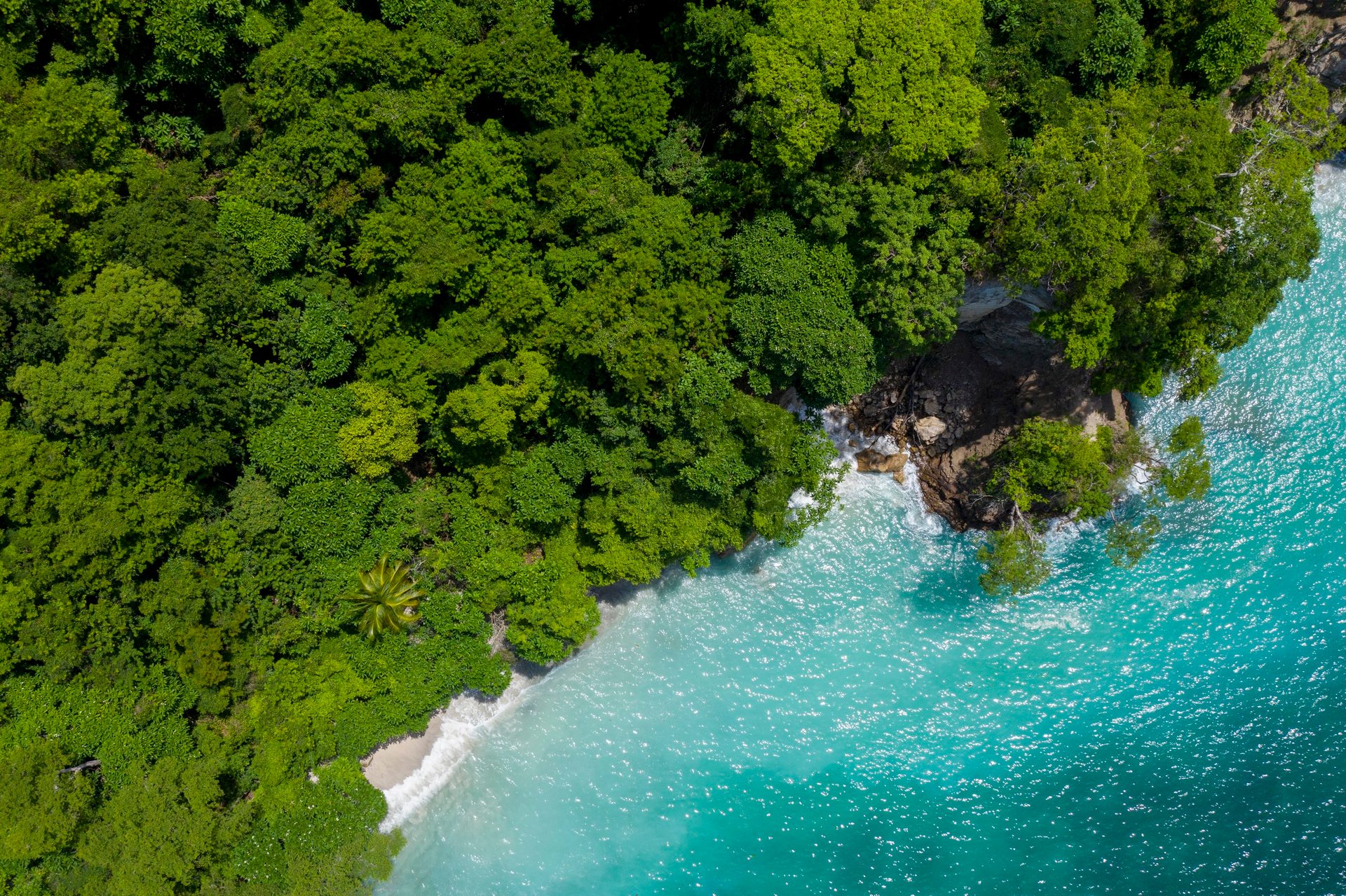 Coastal and oceanic landforms, Water resources, Natural landscape, Tree, Plant, Vegetation, Watercourse, Bank