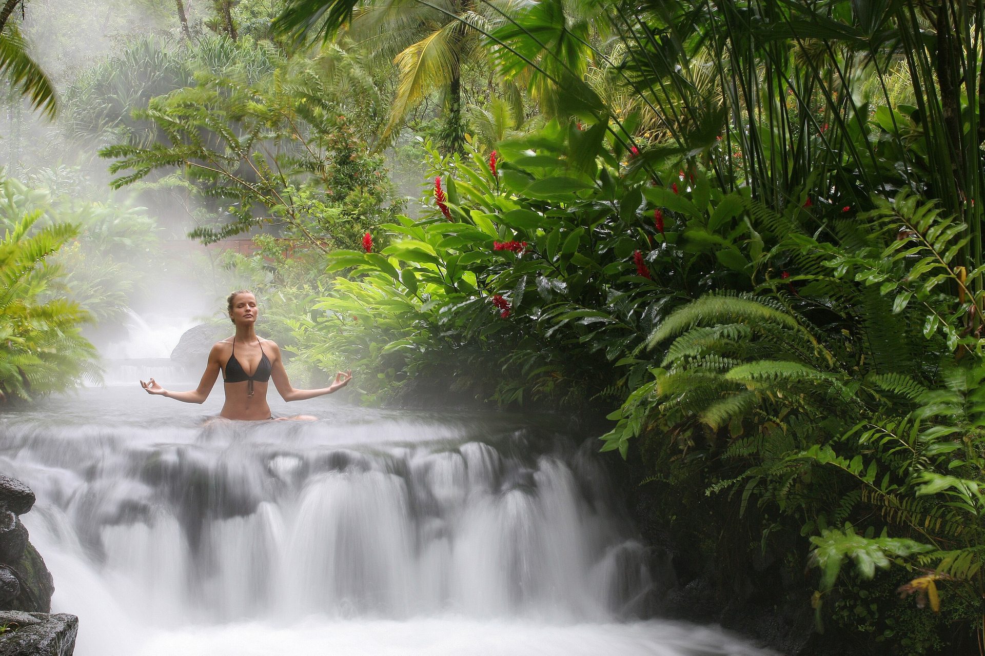 Fluvial landforms of streams, Body of water, Natural landscape, Terrestrial plant, Waterfall, Tree, Watercourse, Chute