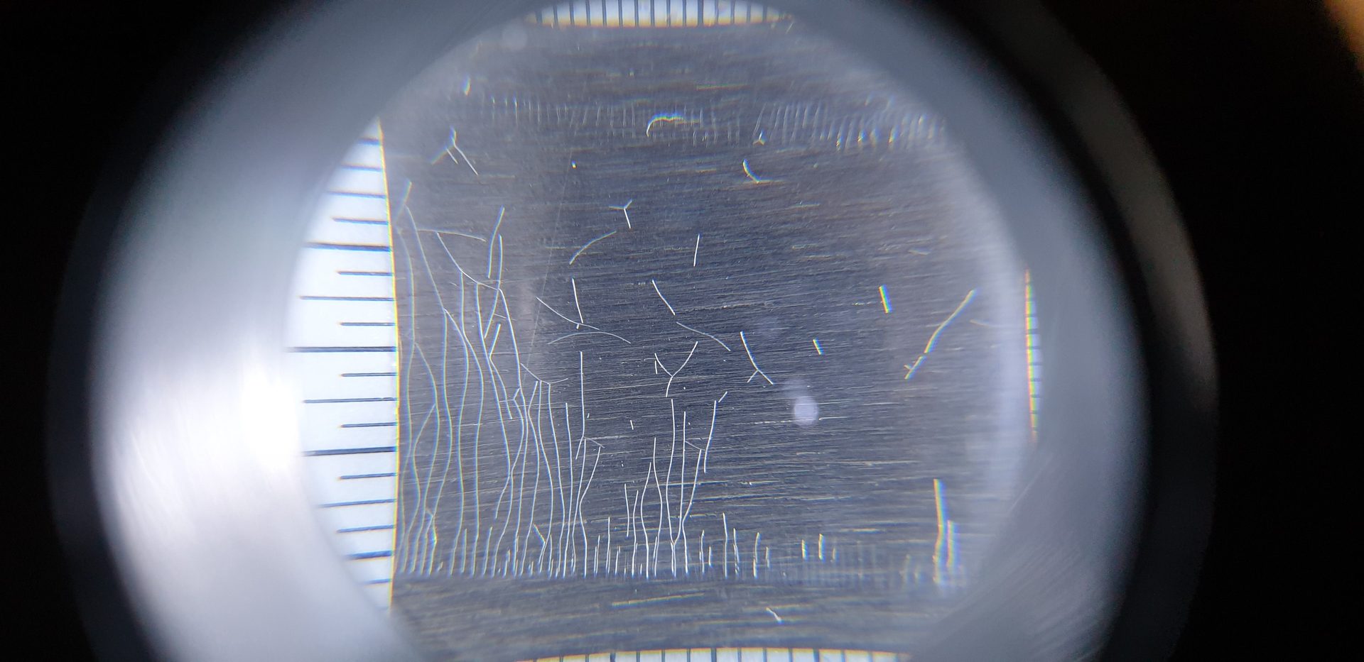 Automotive lighting, Eye, Light, Window