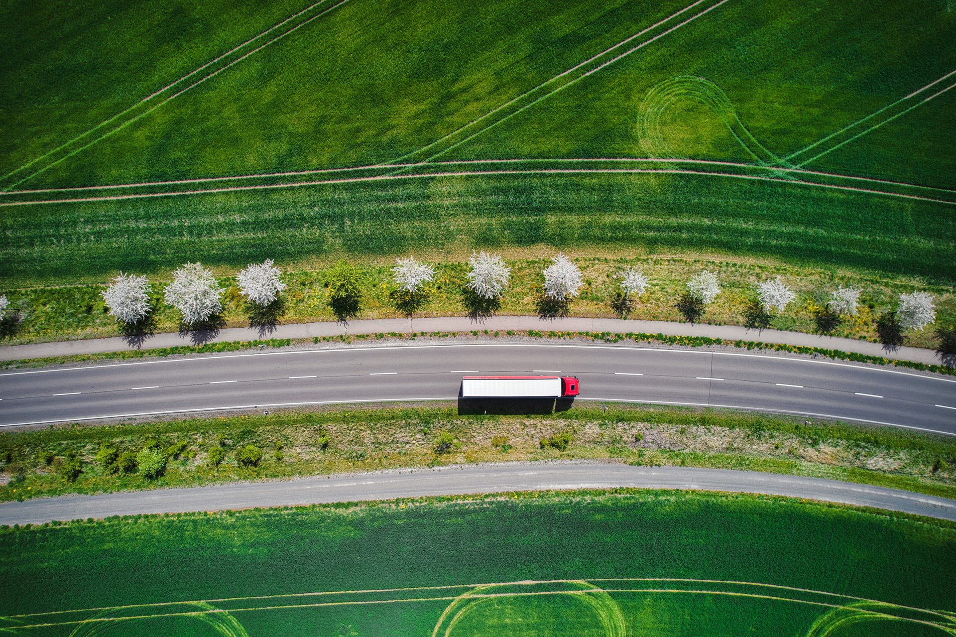 Road surface, Automotive tire, Race track, Land lot, Urban design, Plant, Nature, Infrastructure, Asphalt