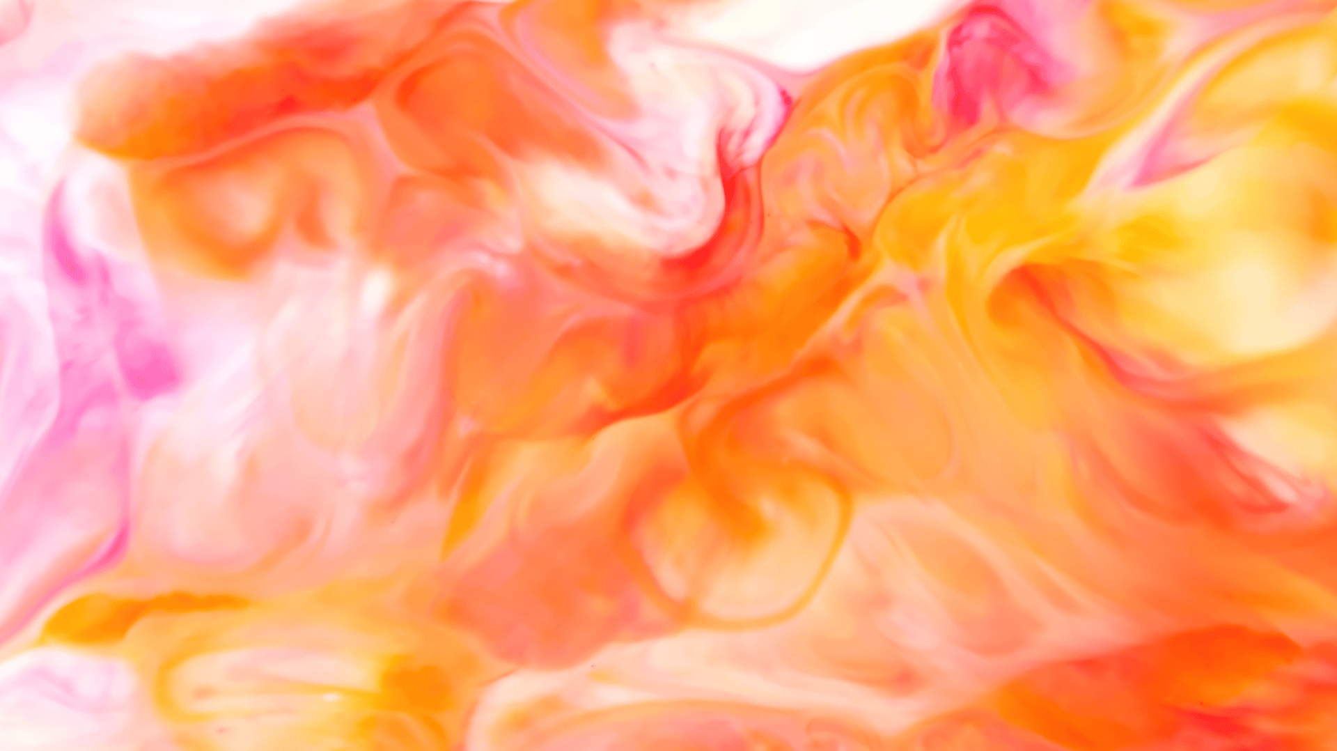 Plant, Orange, Paint, Painting, Pink, Petal, Art