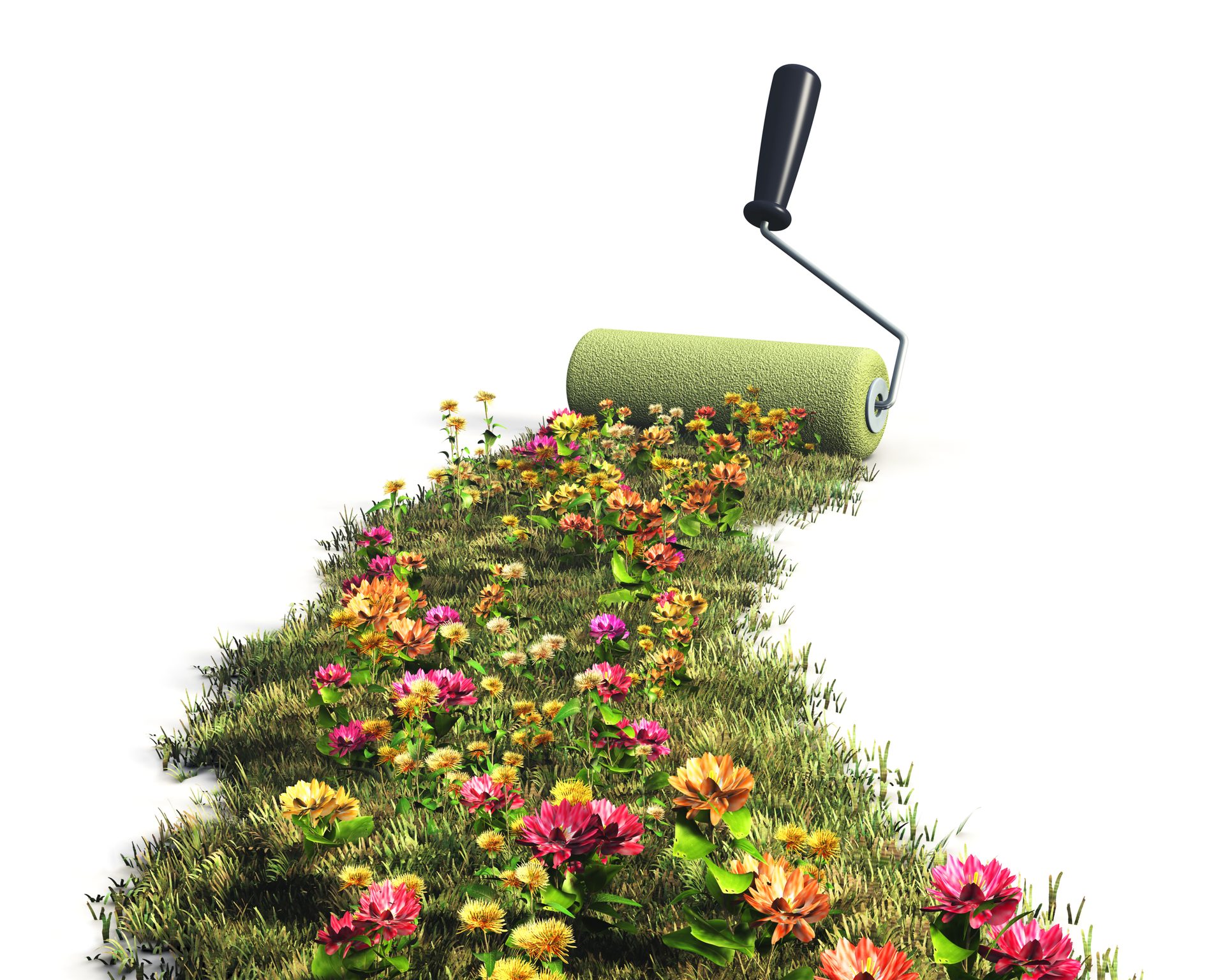 Natural landscape, Flower, Plant