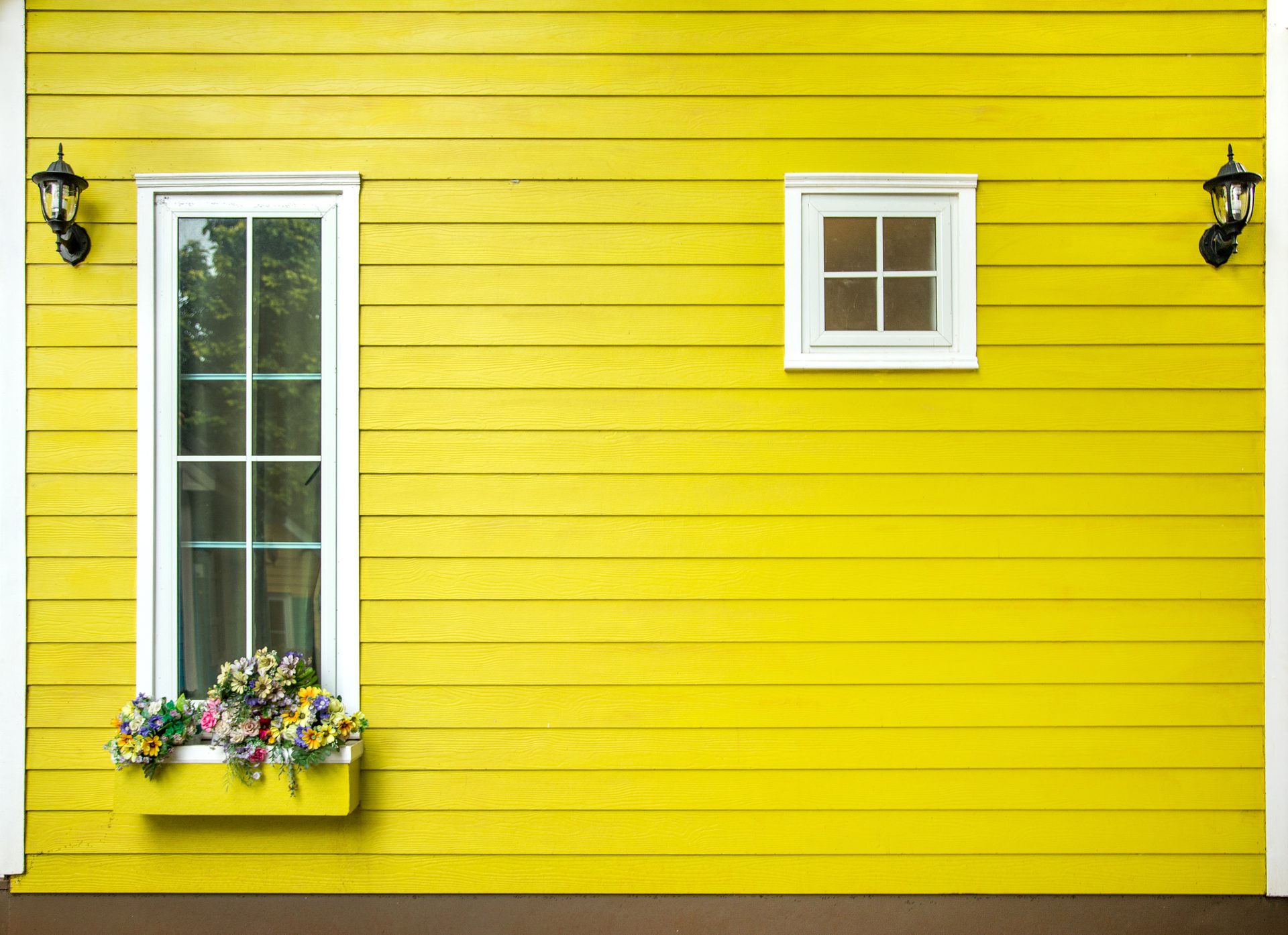 Material property, Window, Fixture, Yellow, Wood, Plant, Rectangle