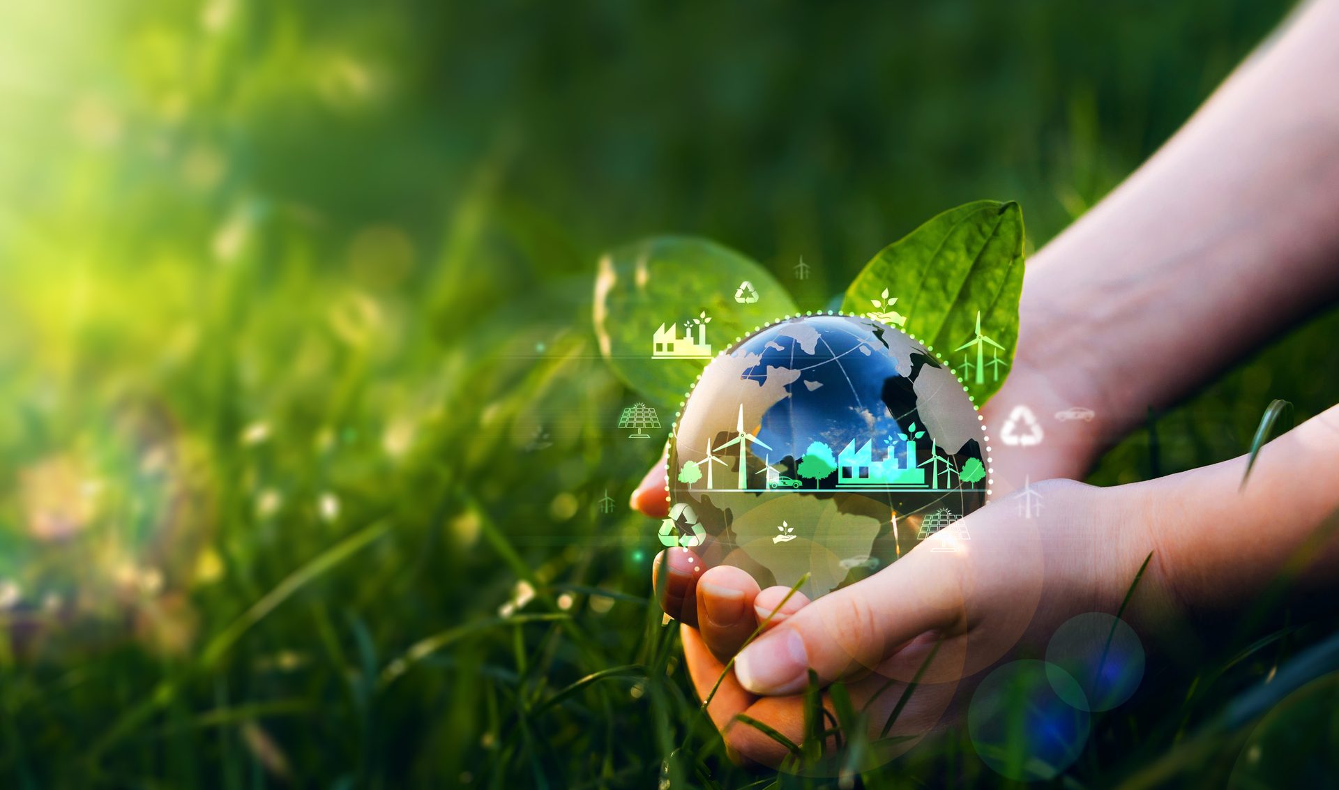 People in nature, Terrestrial plant, Hand, Water, Happy, Grass, Sunglasses
