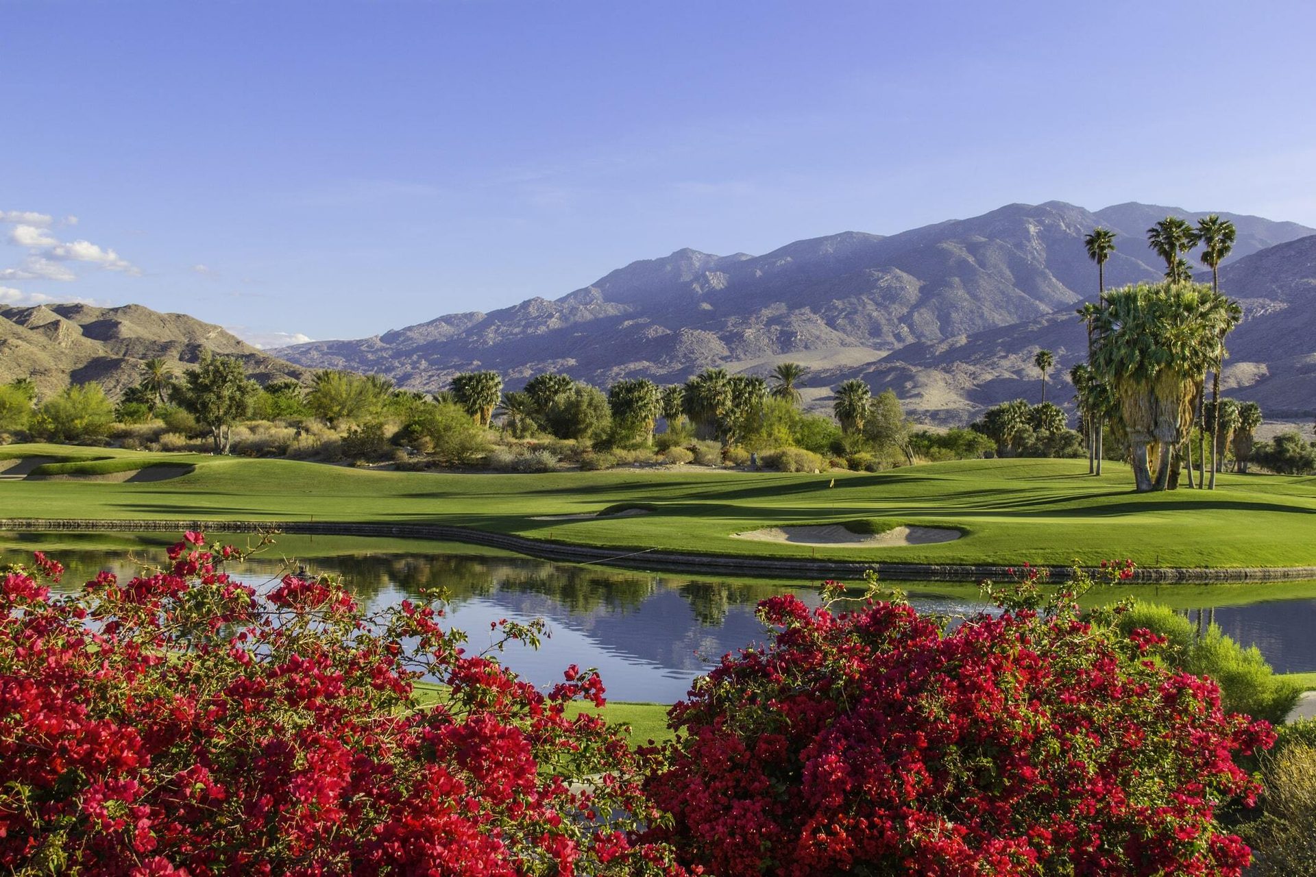 A vibrant golf course with red flowers, a pond, palm trees, and mountains.