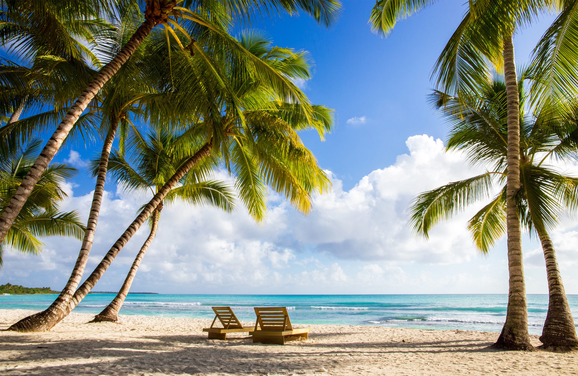 Palm trees on white sandy beach with turquoise ocean and two lounge chairs.