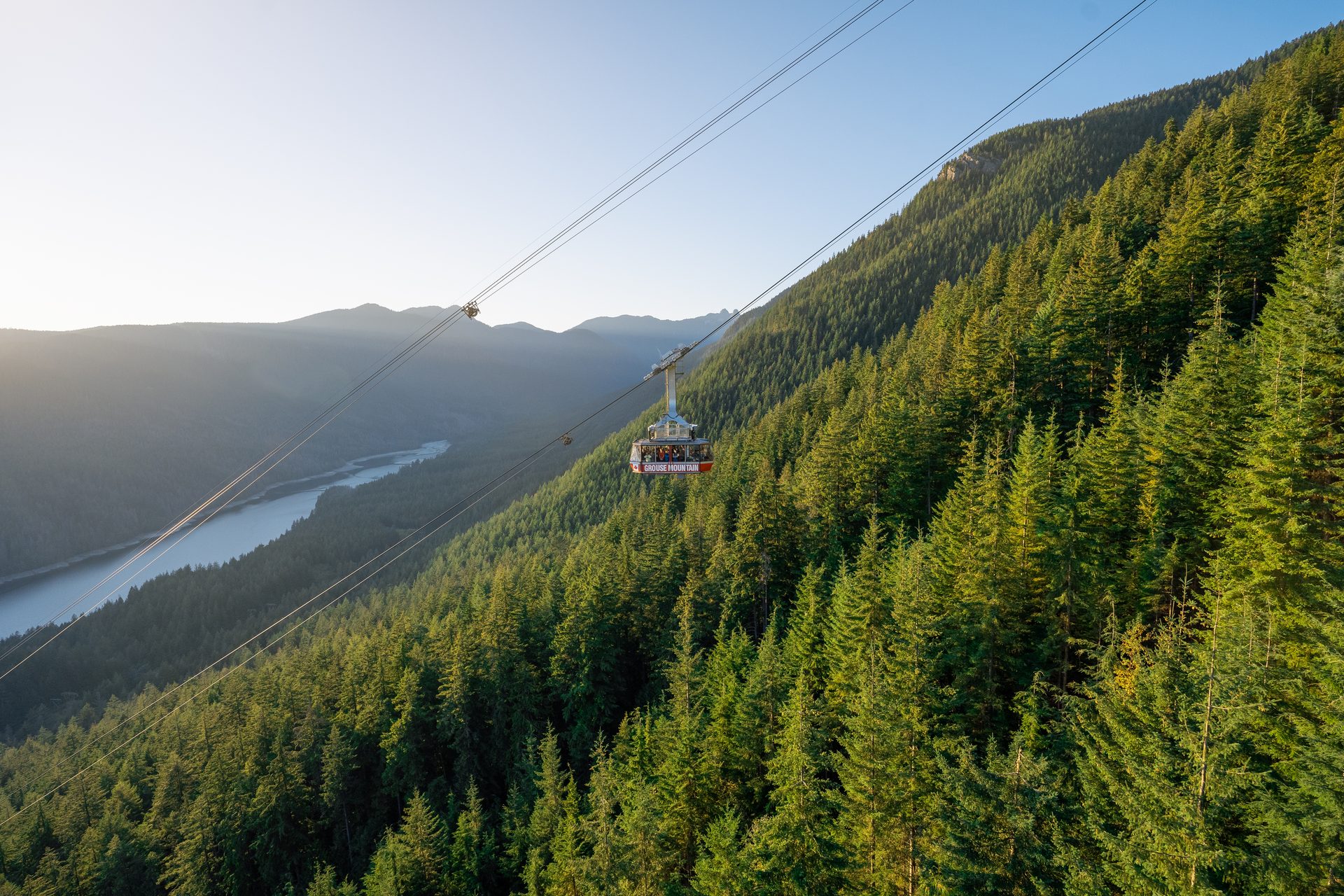 A gondola travels over a vast evergreen forest on a mountain, with a lake and distant peaks under a bright sky.
