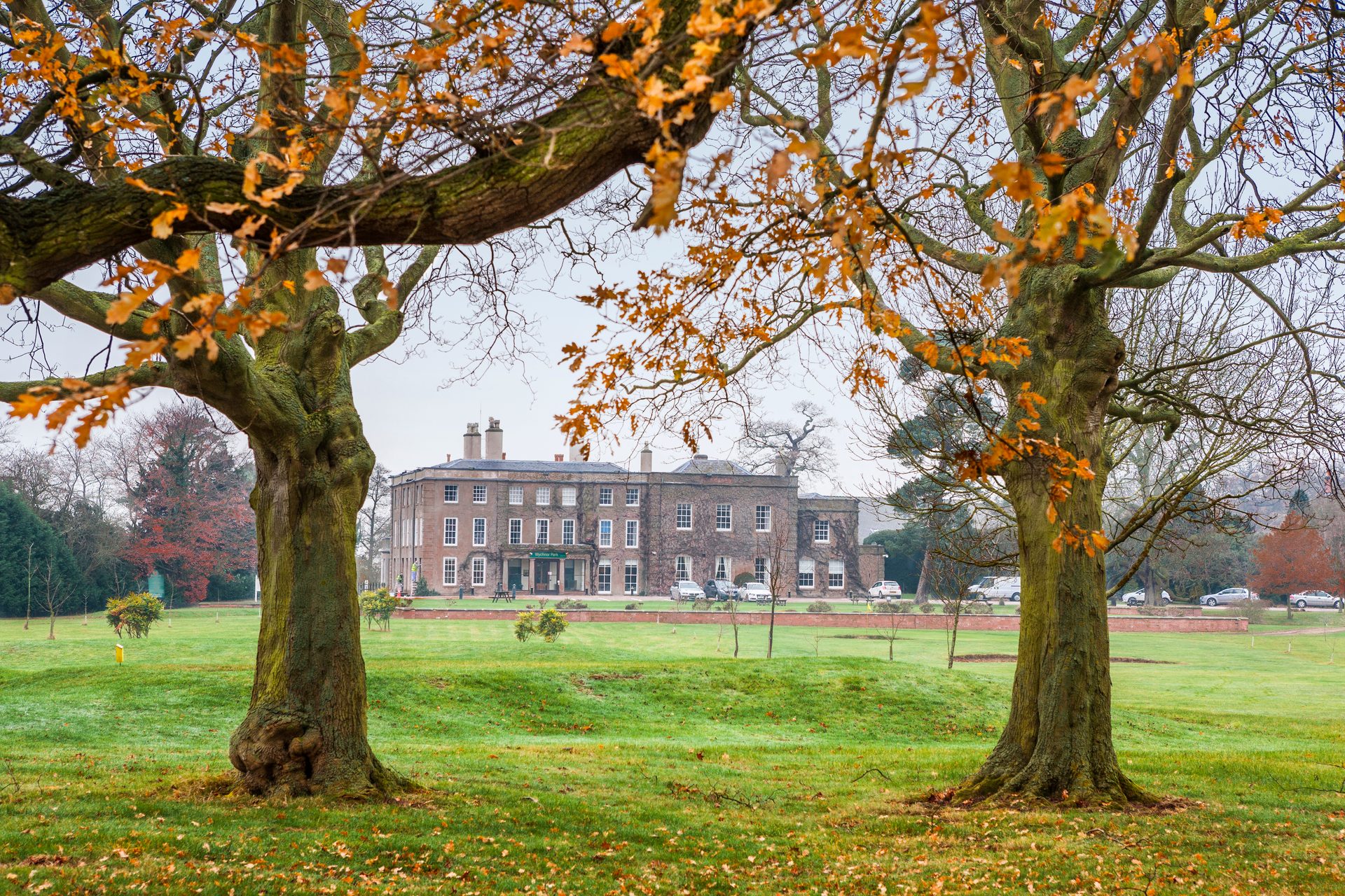 A grand brick country house seen through two large trees with autumn leaves, surrounded by green parkland.