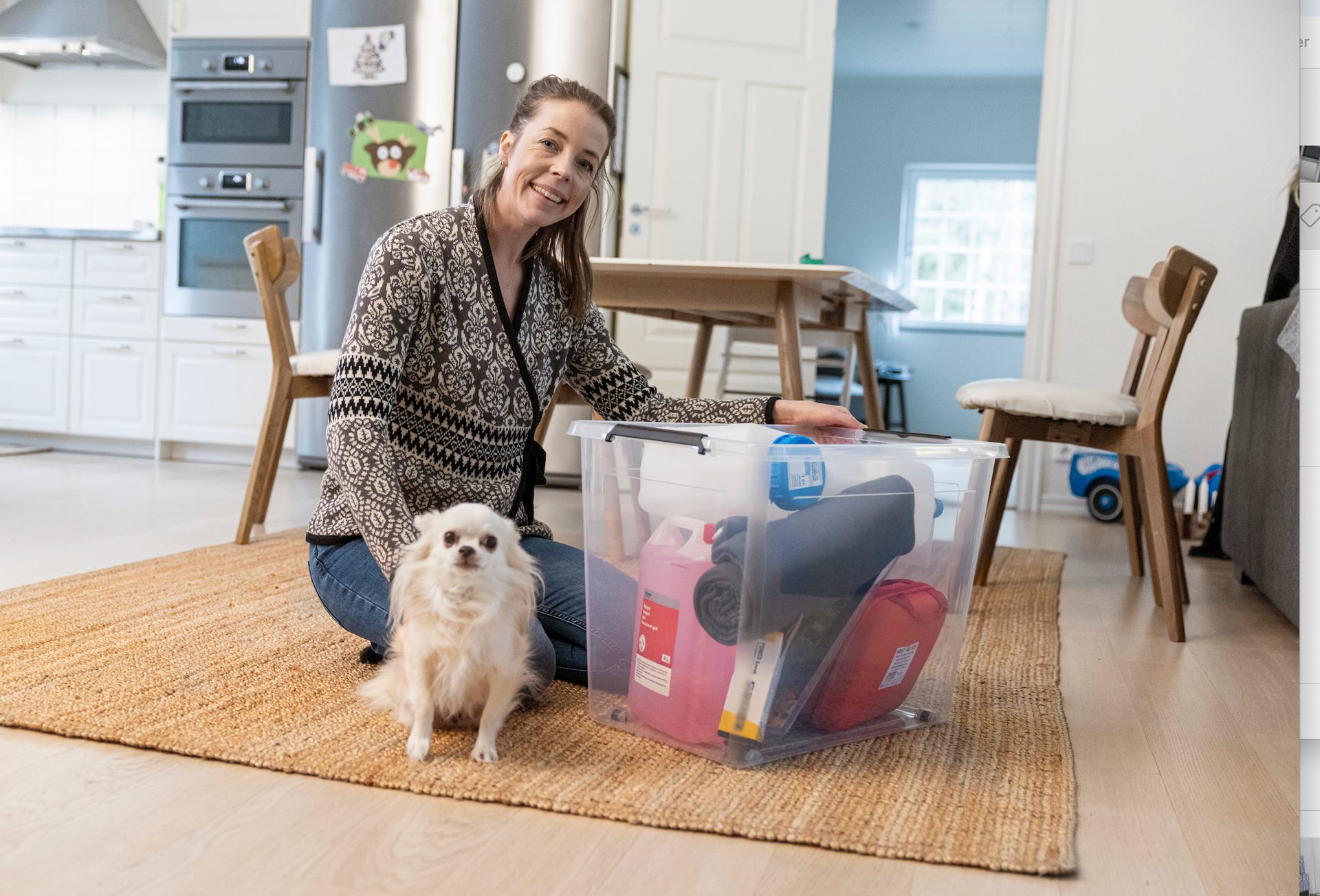 Toy dog, Pet Supply, Carnivores