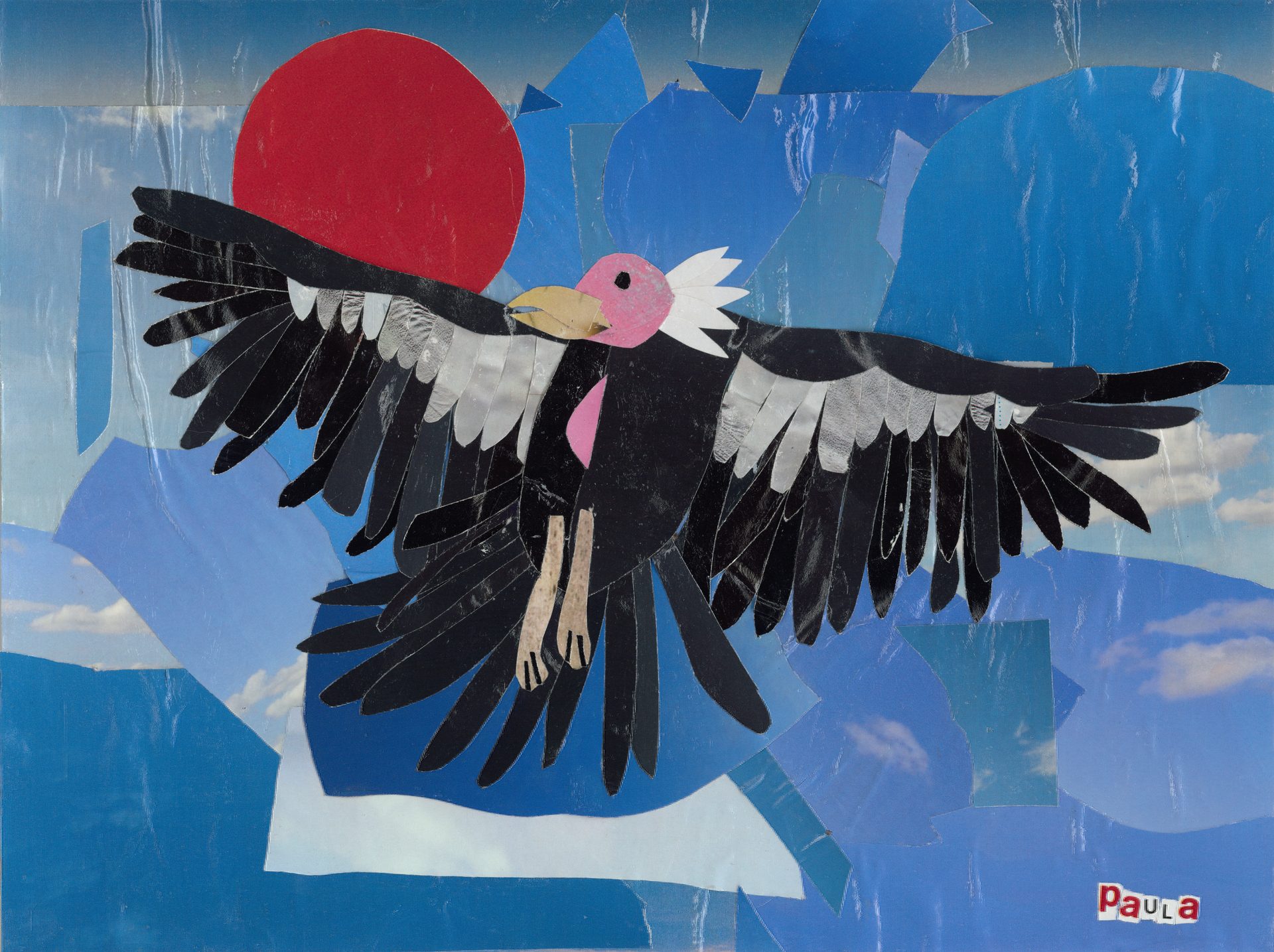 Collage: Black condor with pink head flying in a blue sky with a red sun.
