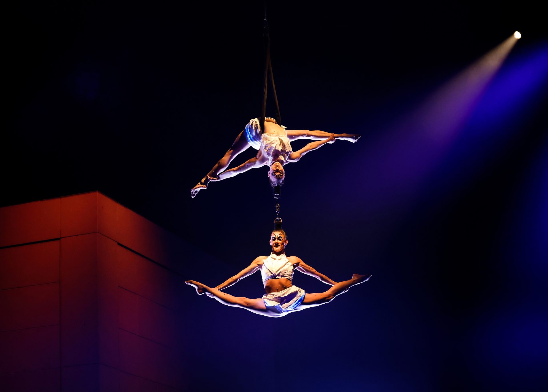 Human body, Aerialist