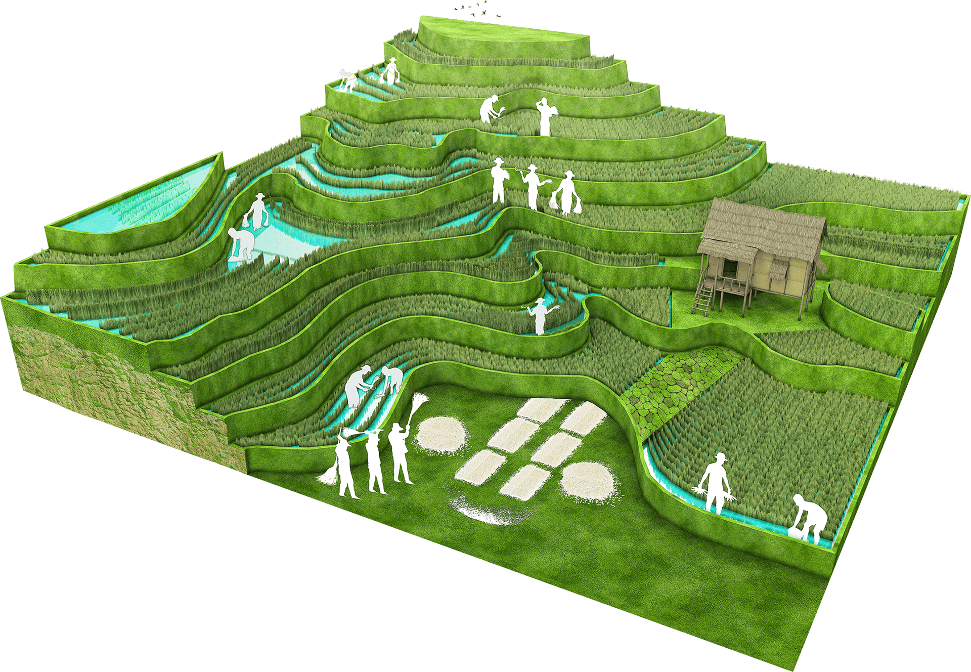 Terrestrial plant, Urban design, Slope, Grass, Tree