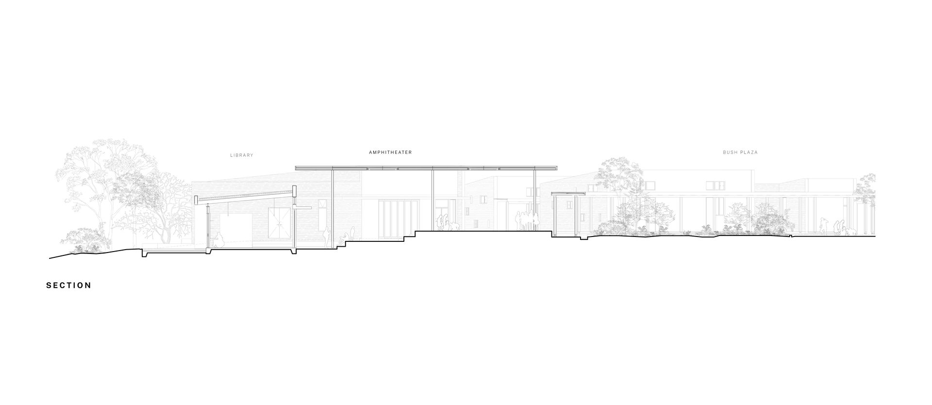 Section Drawing