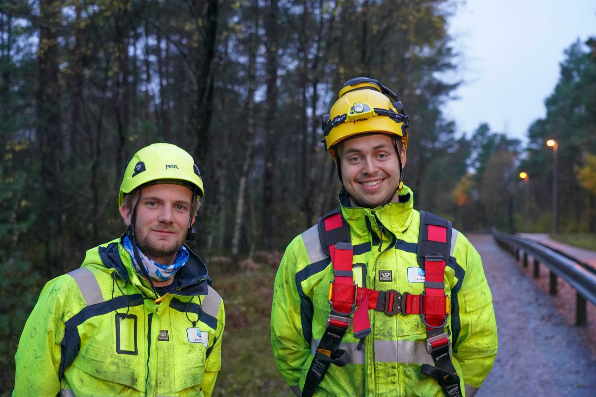 Hard hat, High-visibility clothing, Head, Helmet, Smile, Outerwear, Plant, Workwear, Tree, Sleeve