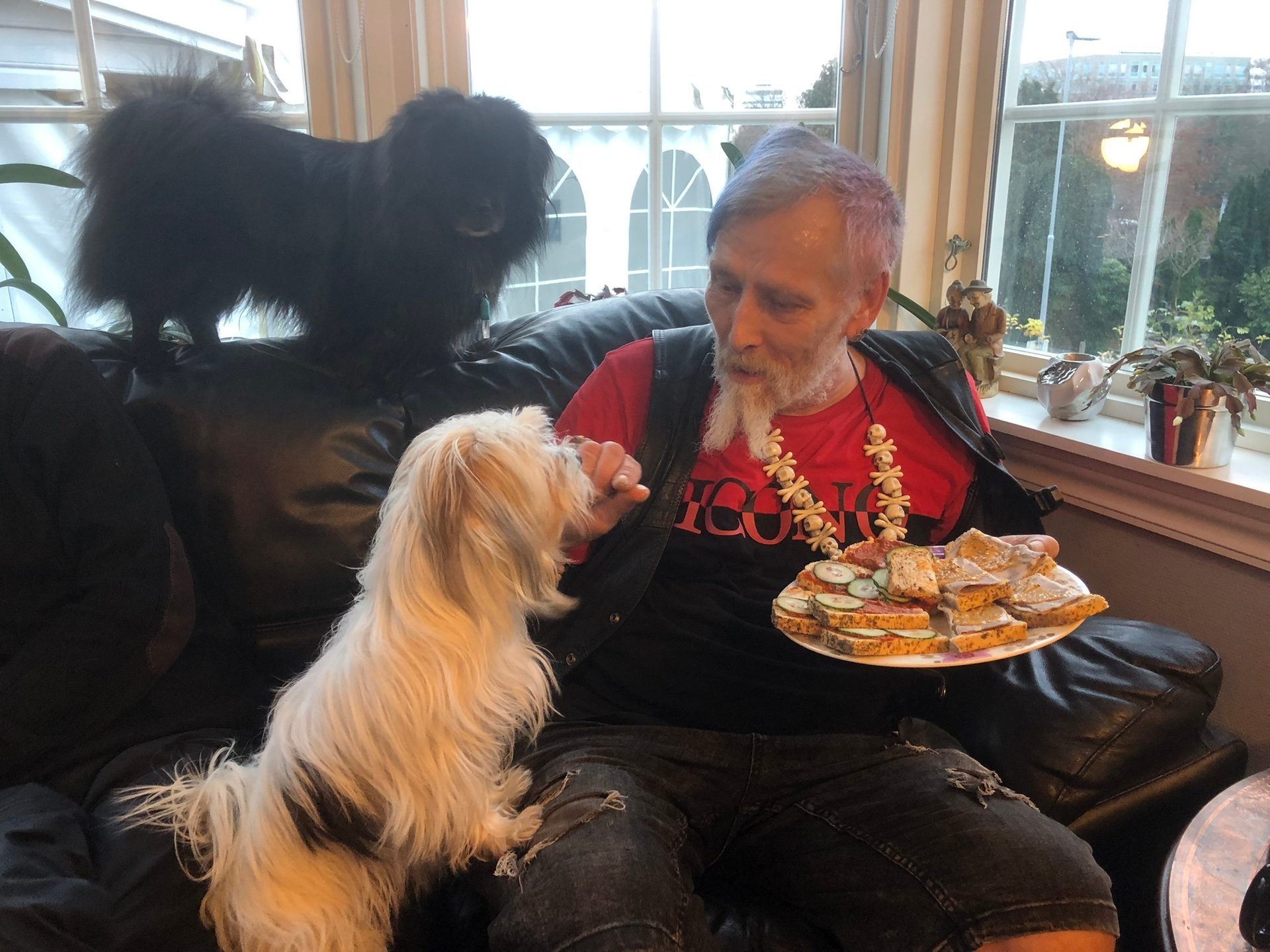 A man with blue hair and a white beard sits on a sofa, holding a plate of sandwiches, while two dogs, one white and one black, are nearby.