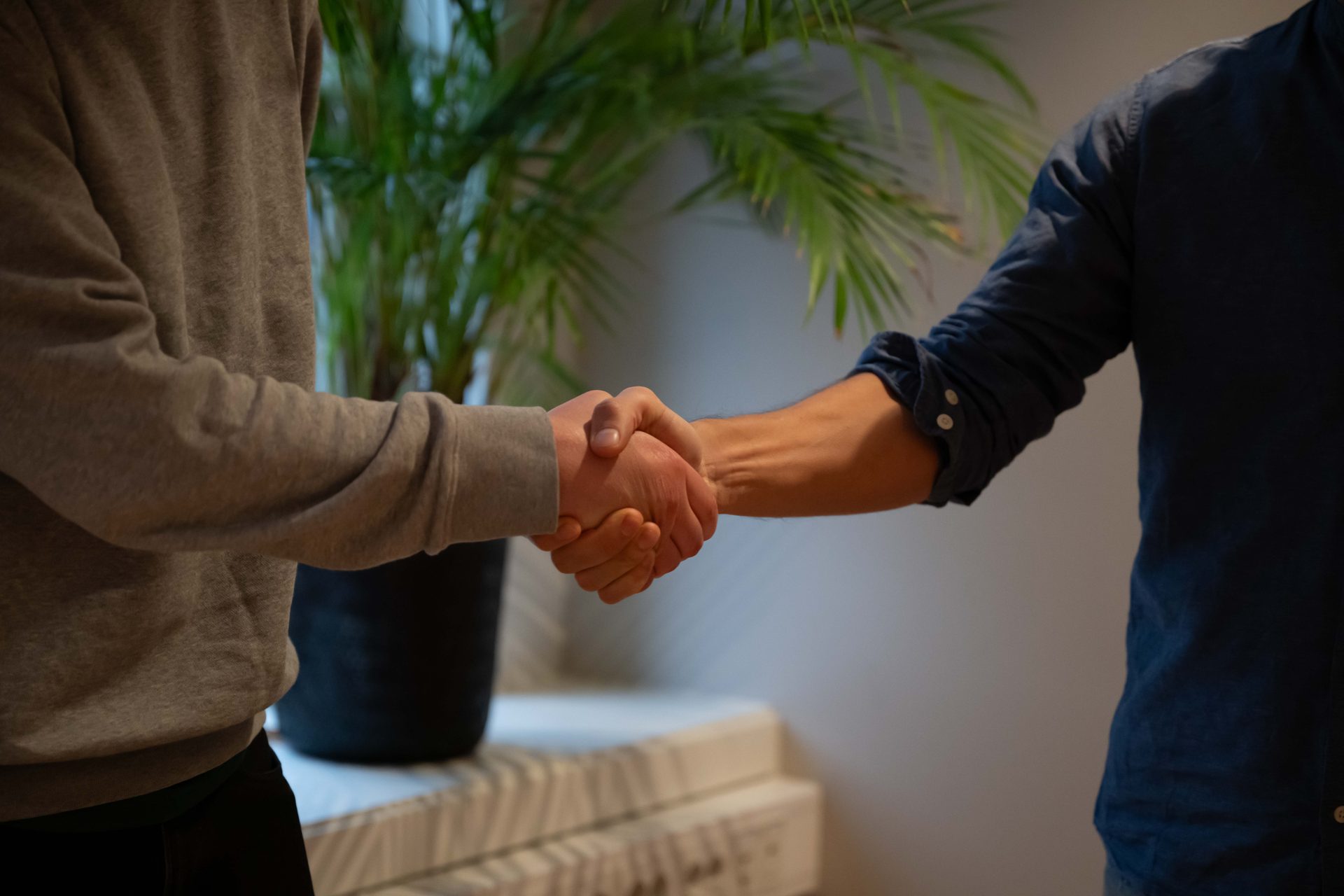 Two people shaking hands in a warm gesture of agreement or greeting, with a green plant in the background.