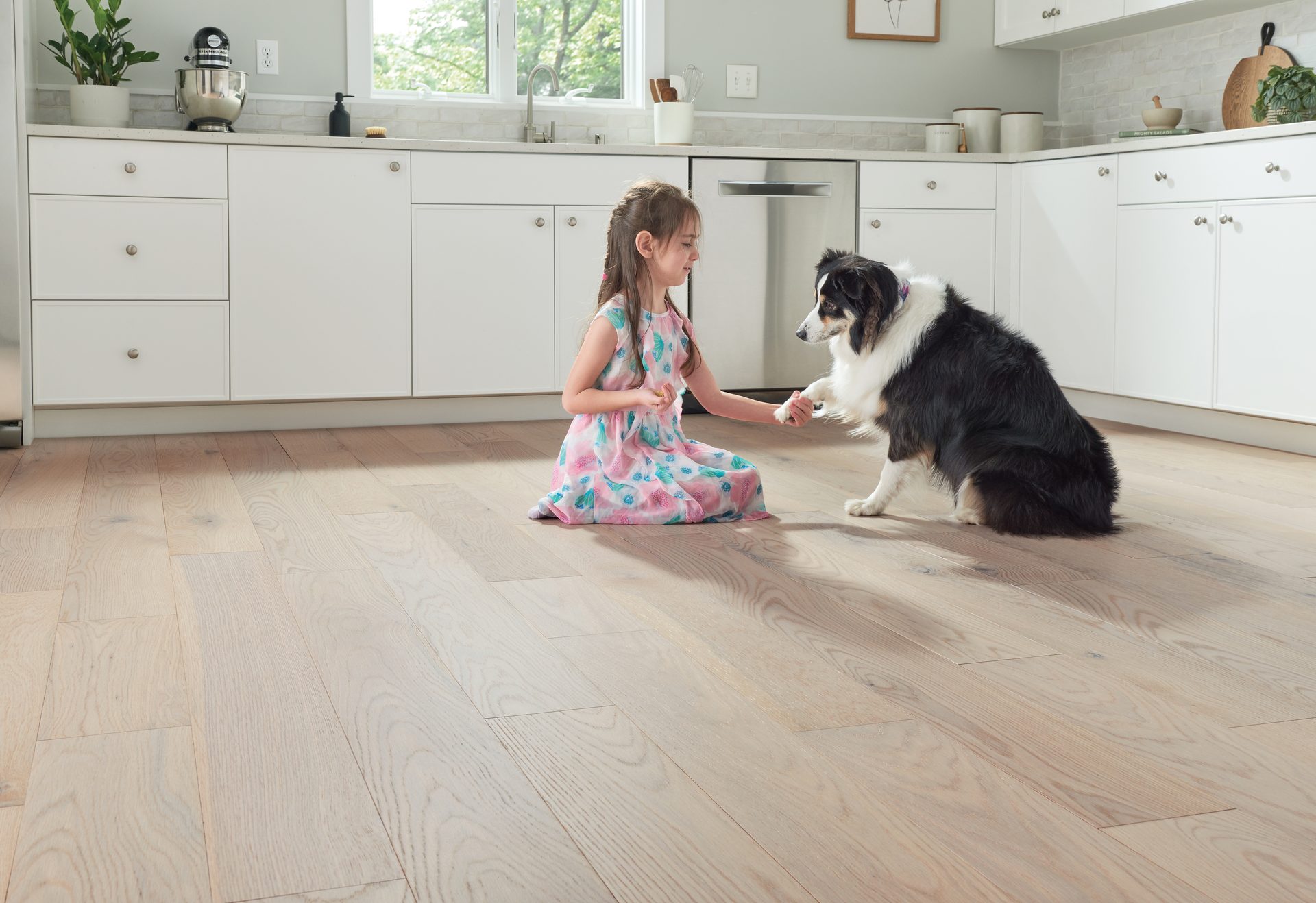 Dog breed, Cabinetry, Flooring, Carnivore, Floor, Wood, Window