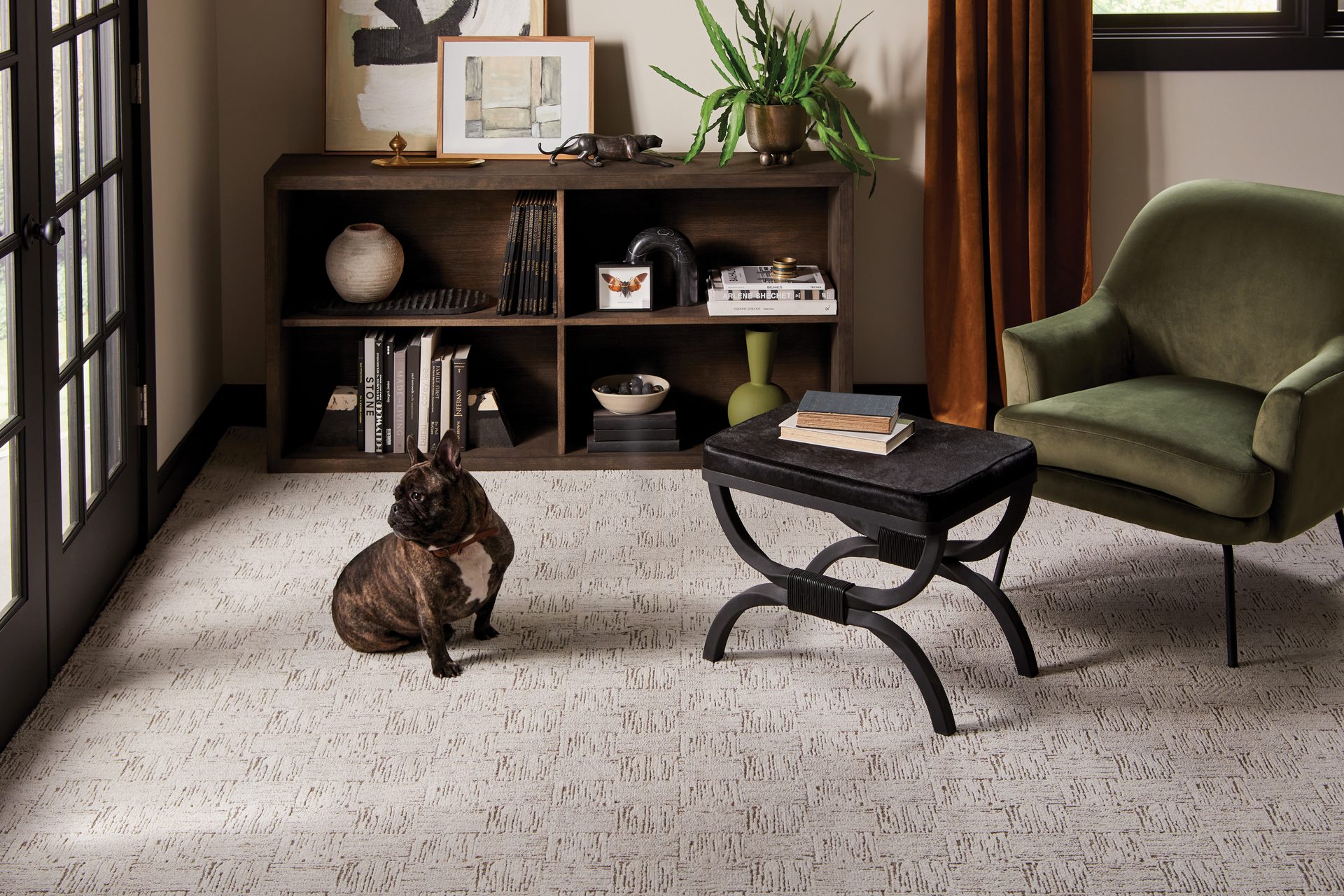 Interior design, Furniture, Property, Plant, Comfort, Shelf, Houseplant, Dog, Wood, Flowerpot
