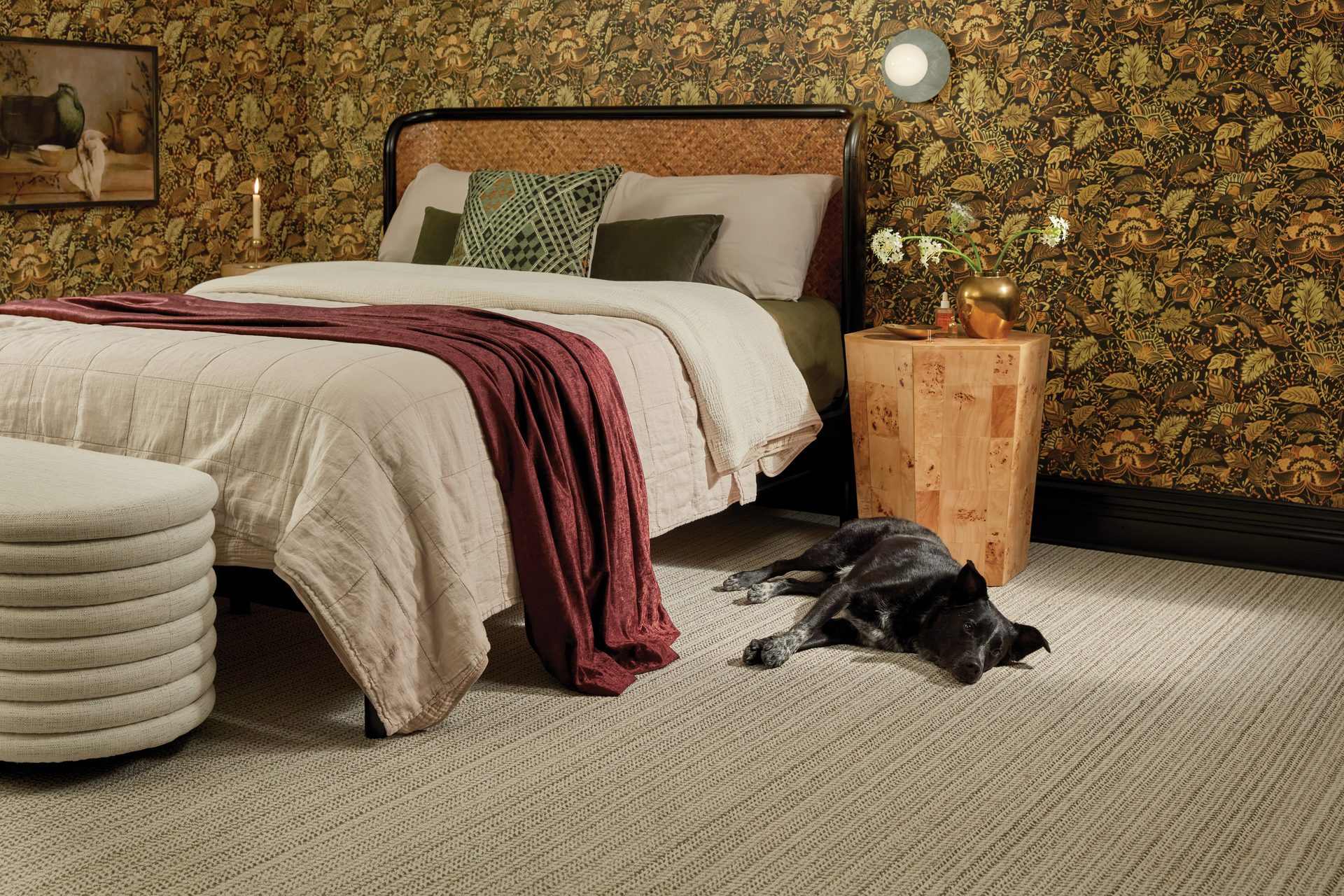 Bed frame, Interior design, Comfort, Wood, Dog, Grey, Flooring, Floor, Building