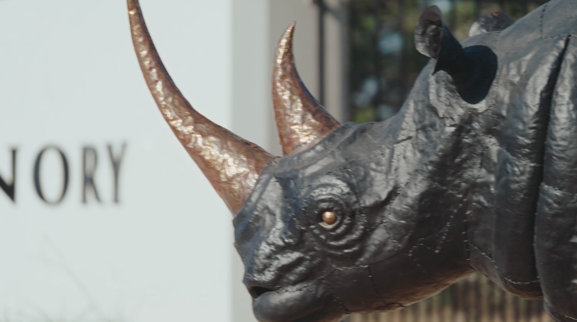 Natural material, Head, Eye, Sculpture, Grey, Horn, Art