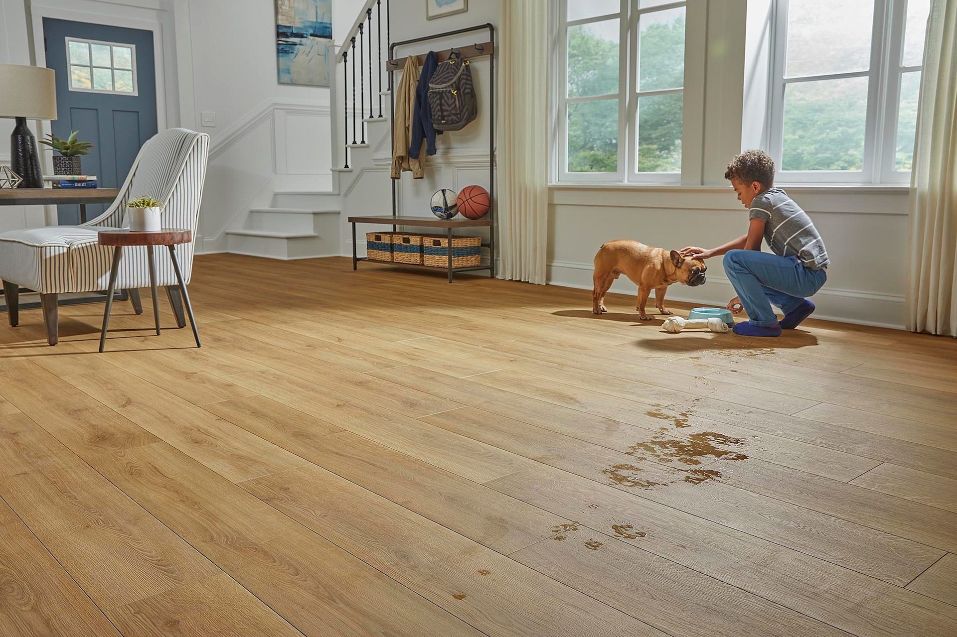 Picture frame, Wood stain, Laminate flooring, Dog, Window, Comfort, Carnivore, Floor