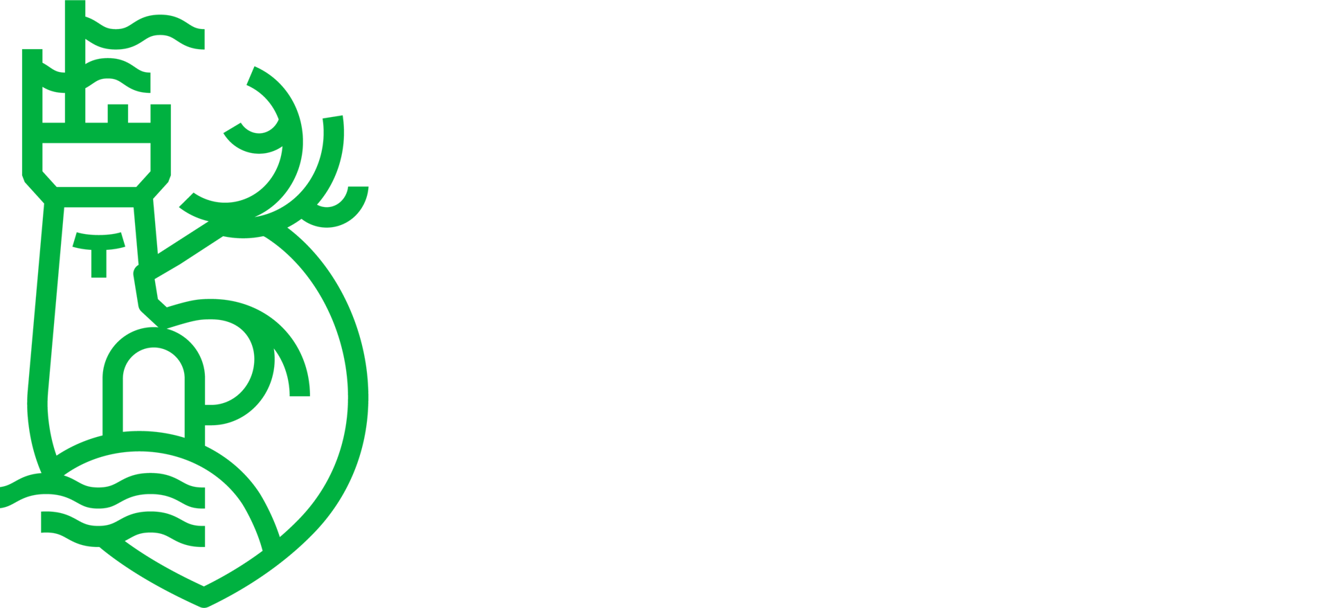 Logo of the University of Limerick featuring a green emblem and white text on a dark green background.