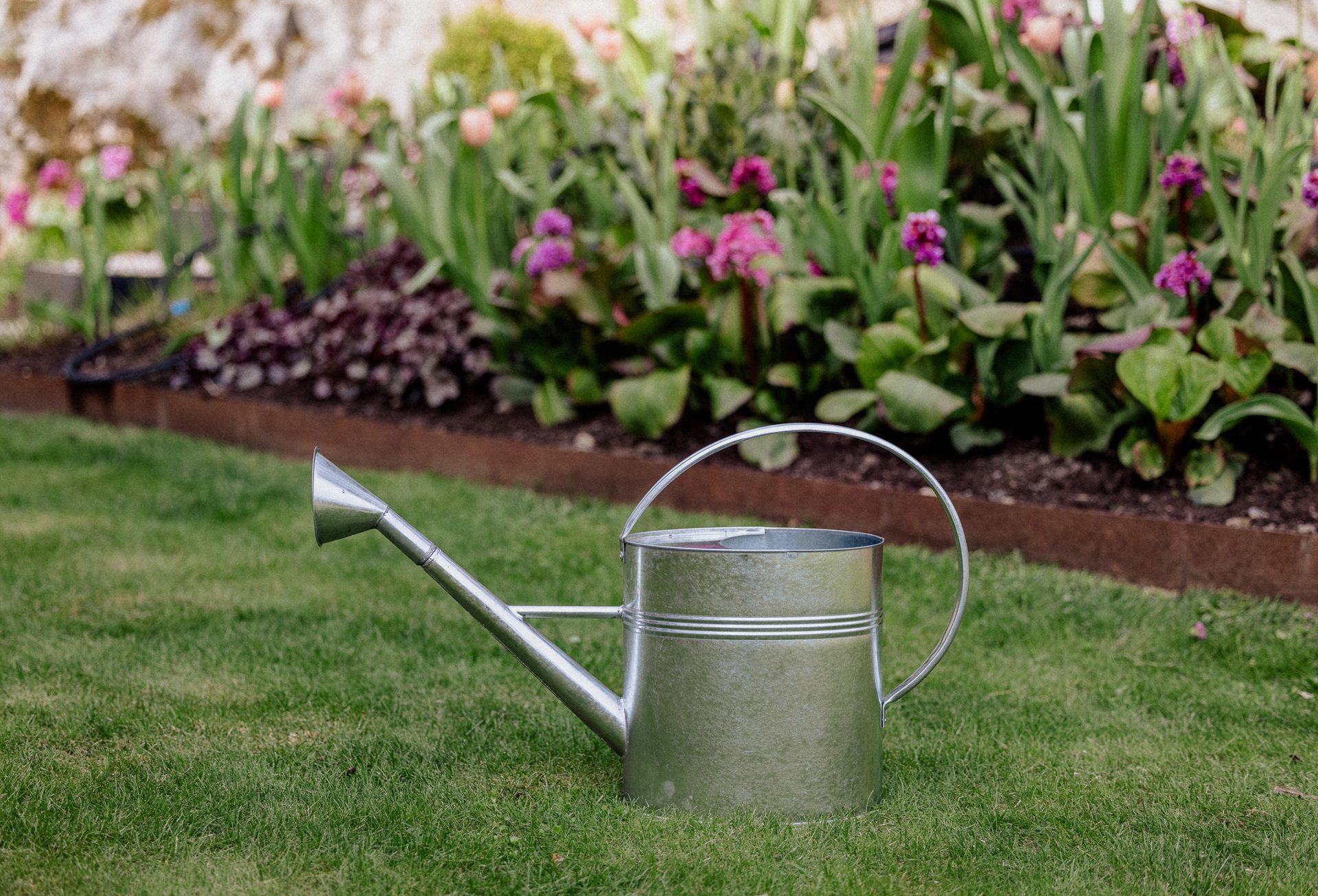 A metal watering can on green grass, with a colorful garden in the background.