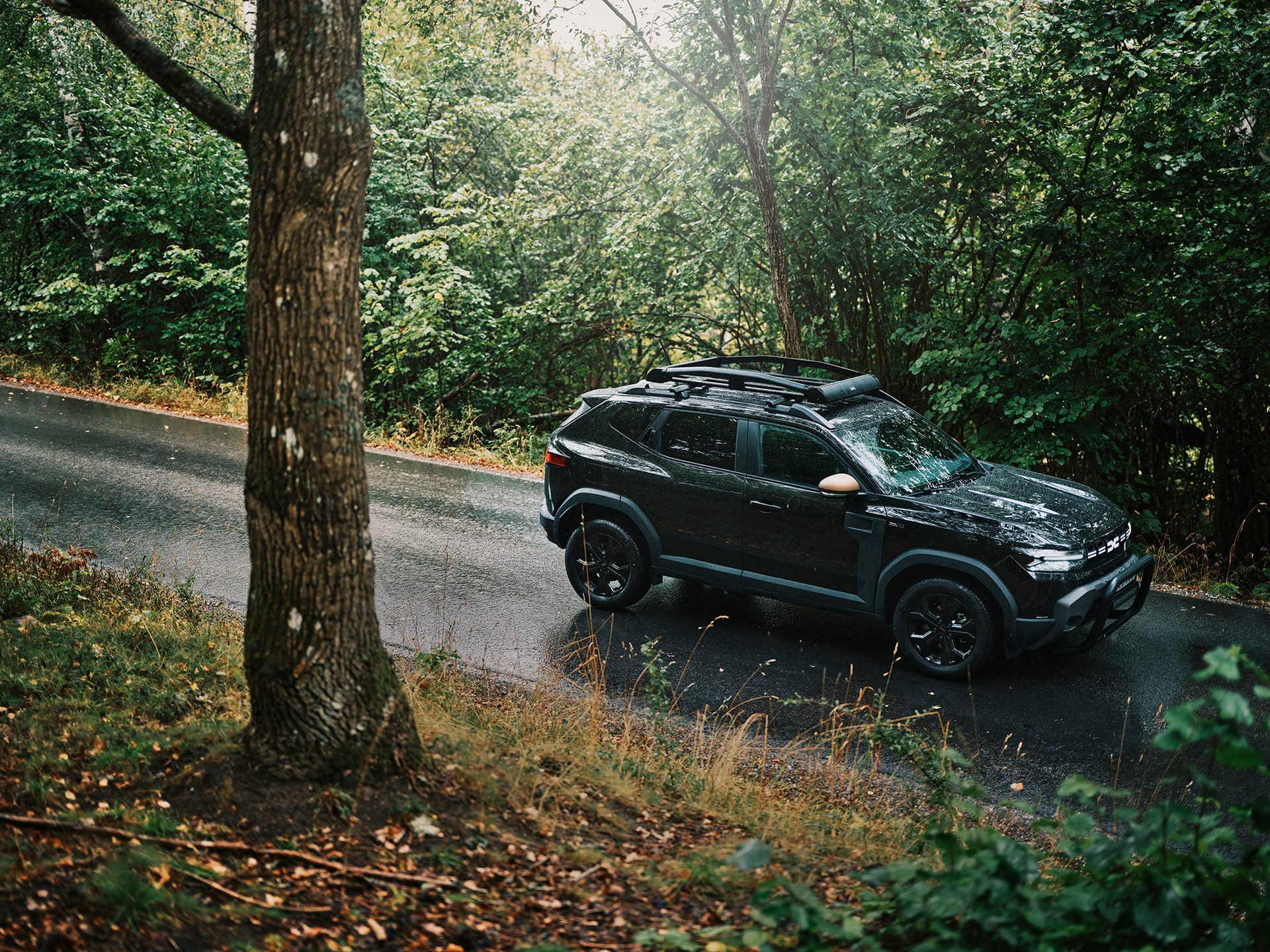 A black Dacia Duster SUV is parked on a wet forest road, with a prominent tree trunk on the left.