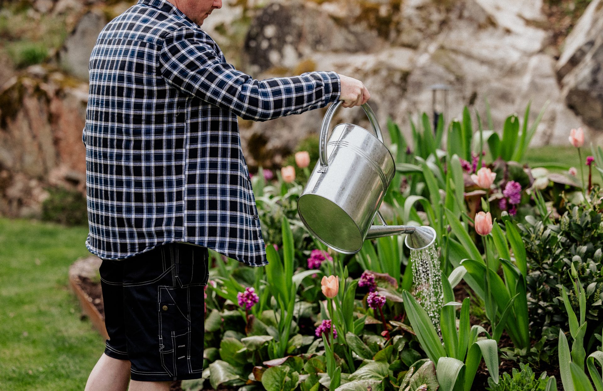 Man in plaid shirt watering a garden with a sprinkling metal can.