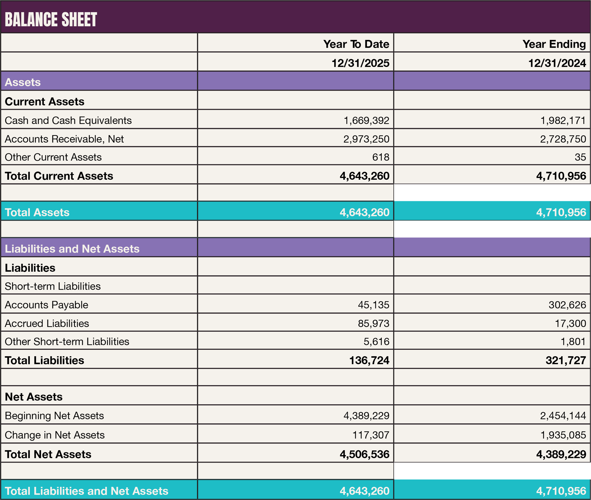 A balance sheet displaying assets, liabilities, and net assets for the years ending 12/31/2025 and 12/31/2024.
