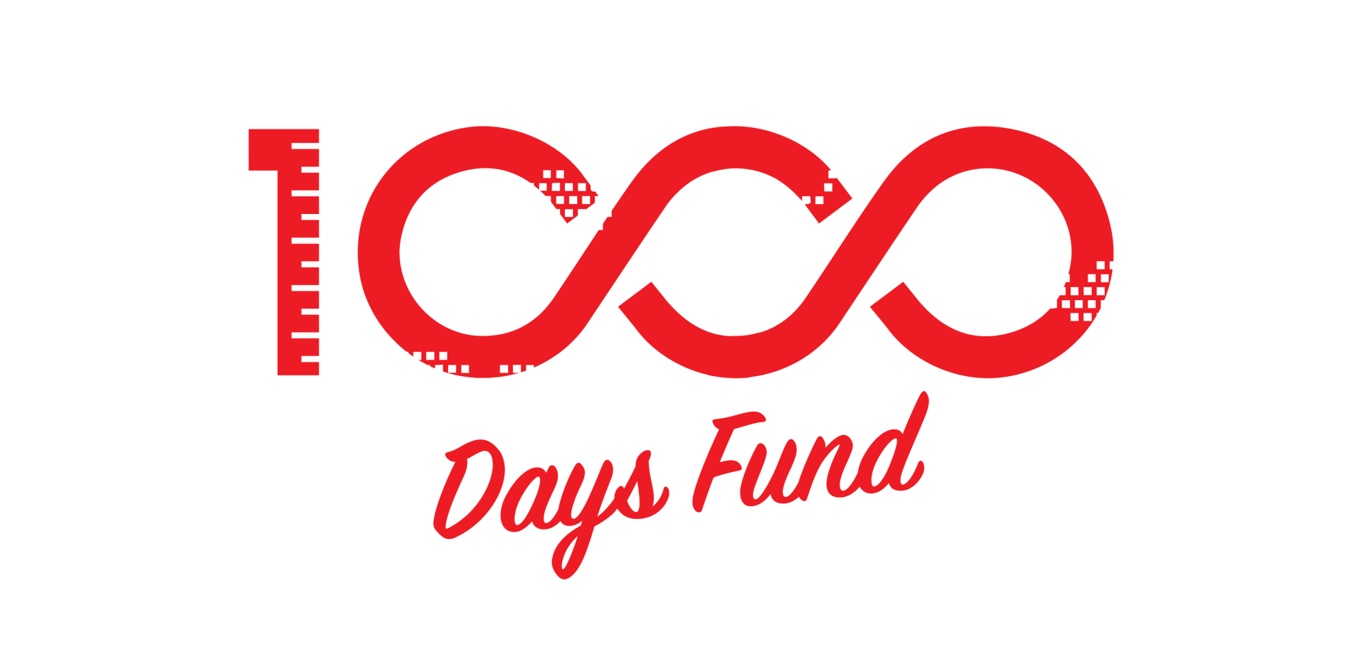 Logo: '100 Days Fund' in red, with '100' as a ruler and infinity symbol over a pixelated map.