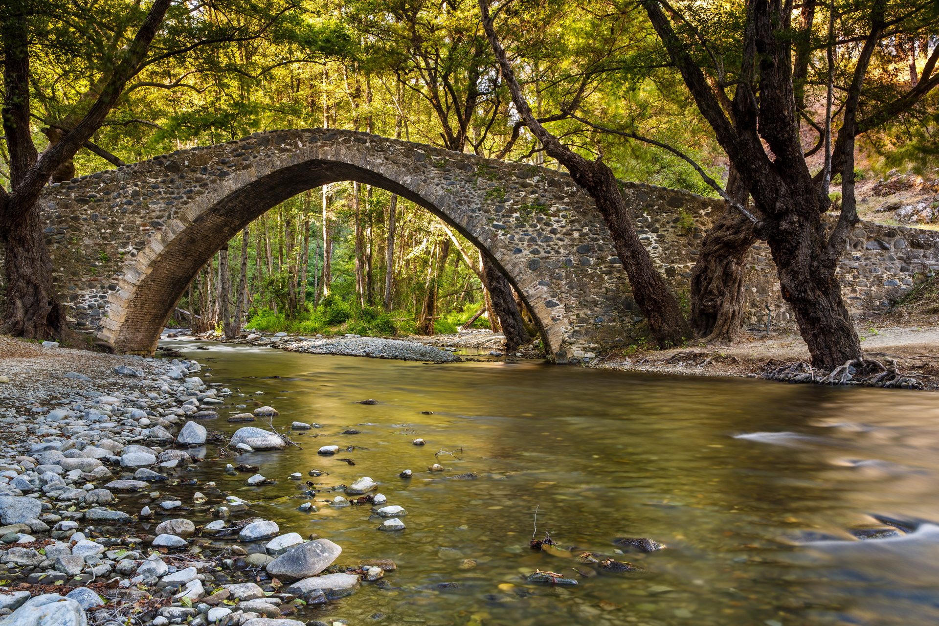 An ancient stone arch bridge crosses a river flowing through a lush forest, bathed in warm sunlight.