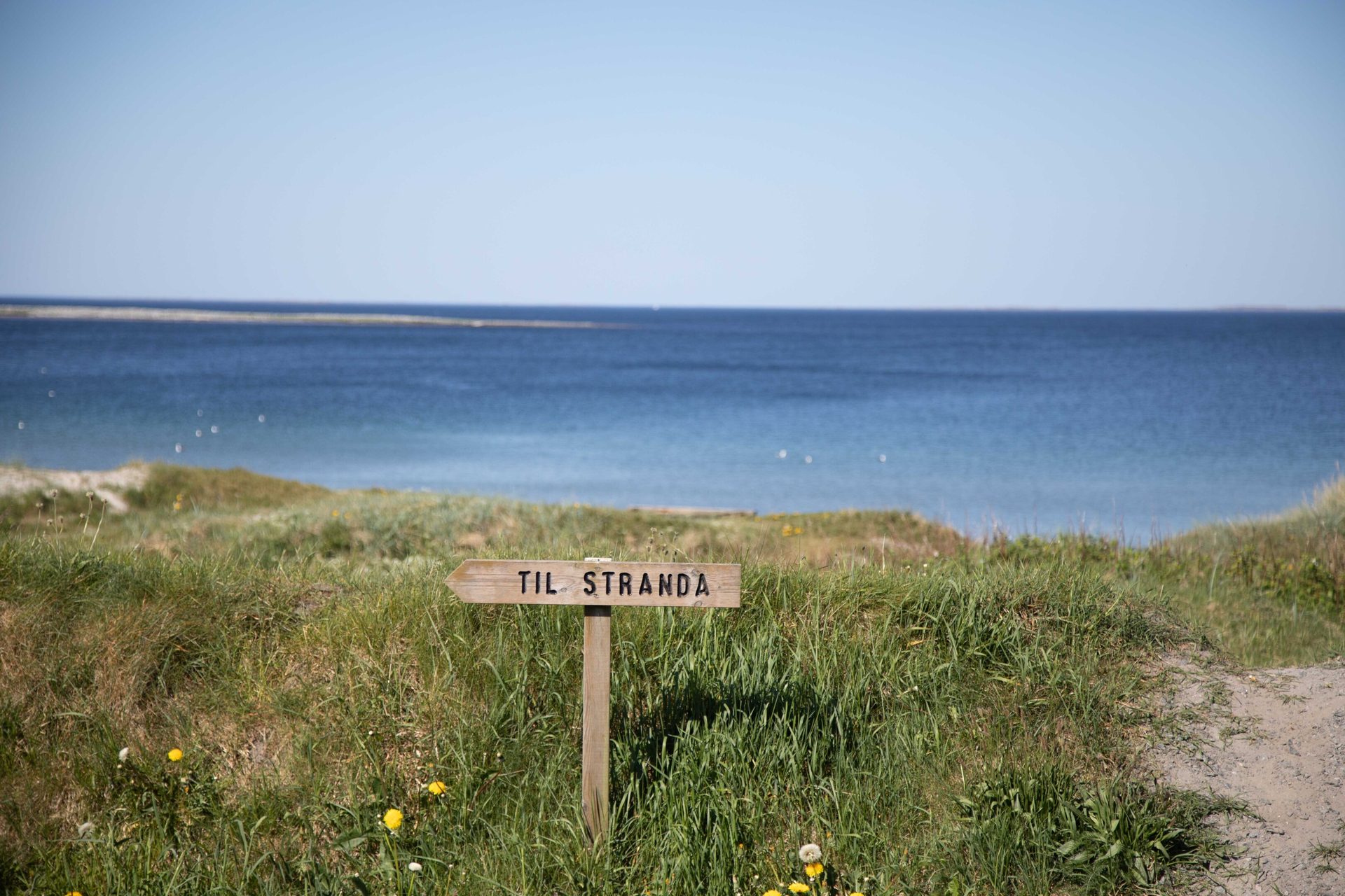 Coastal and oceanic landforms, Plant community, Natural environment, Land lot, Water, Sky, Ecoregion, Vegetation
