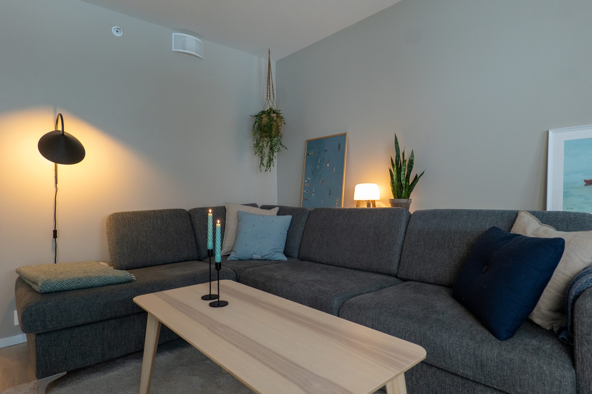Picture frame, Furniture, Property, Table, Plant, Couch, Comfort, Azure, Lighting, House