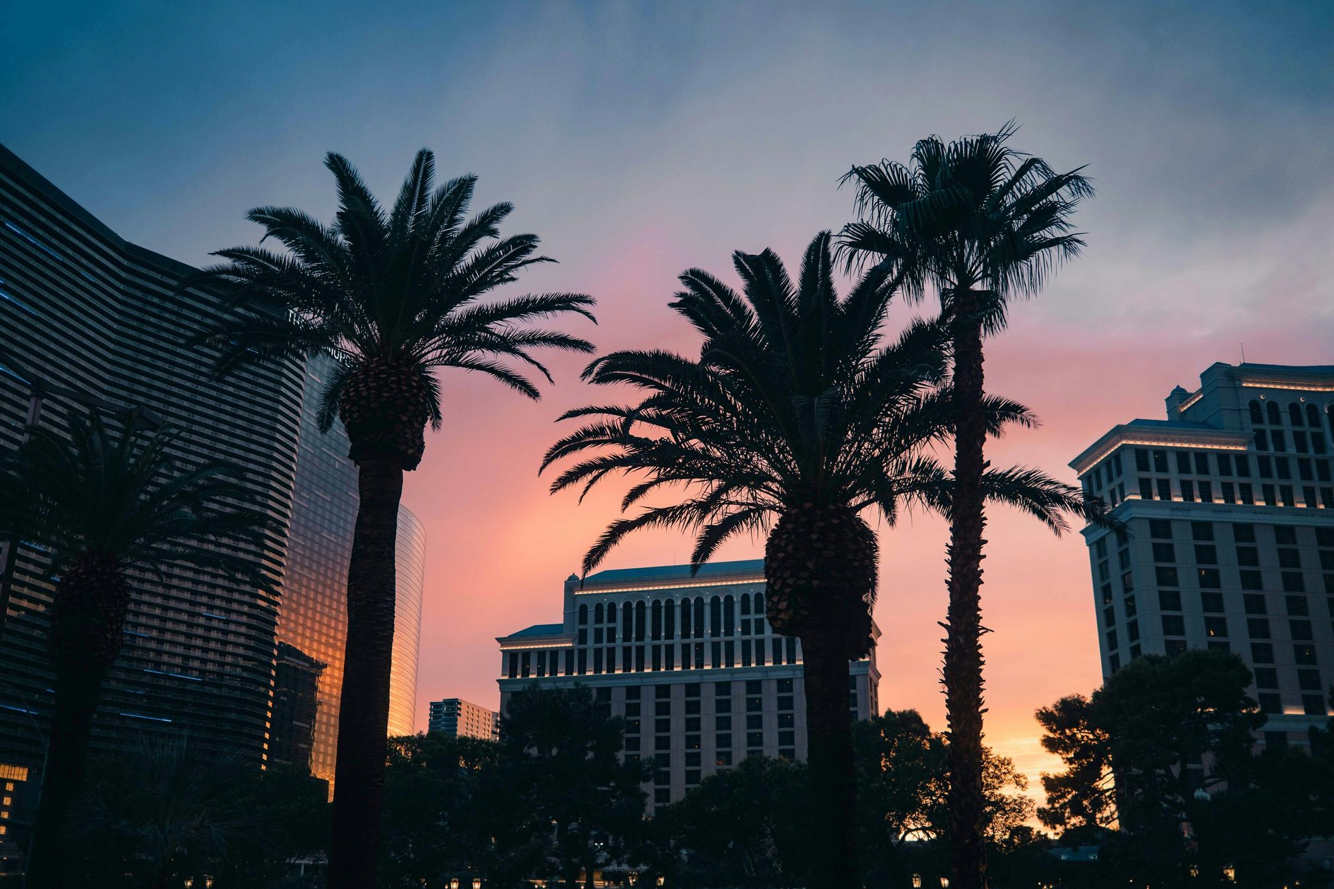 Building, Sky, Cloud, Atmosphere, Skyscraper, Tree, Afterglow, Dusk, Arecales, Sunlight
