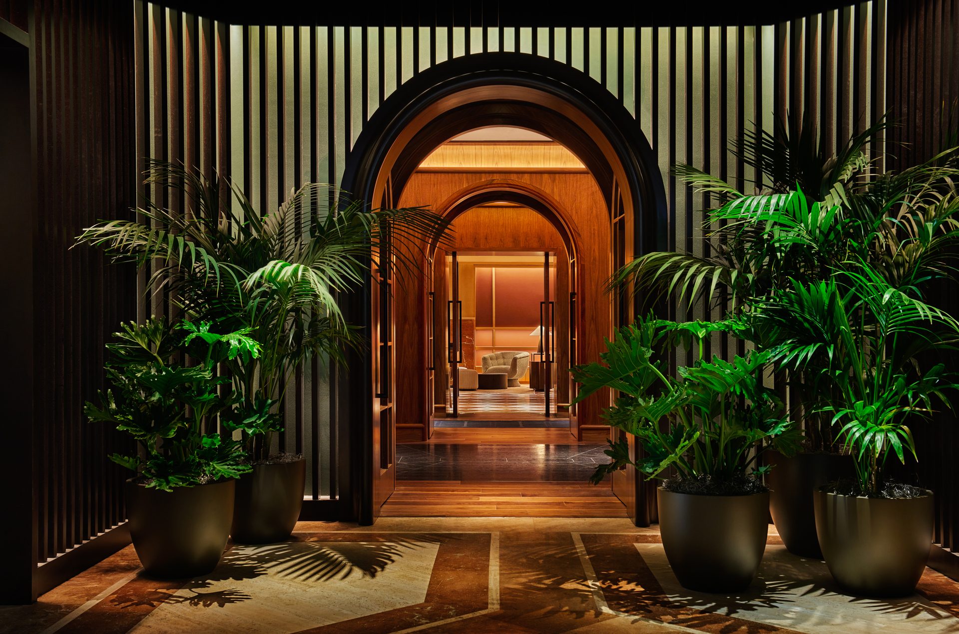 Interior design, Plant, Building, Flowerpot, Door, Architecture, Houseplant, Arecales