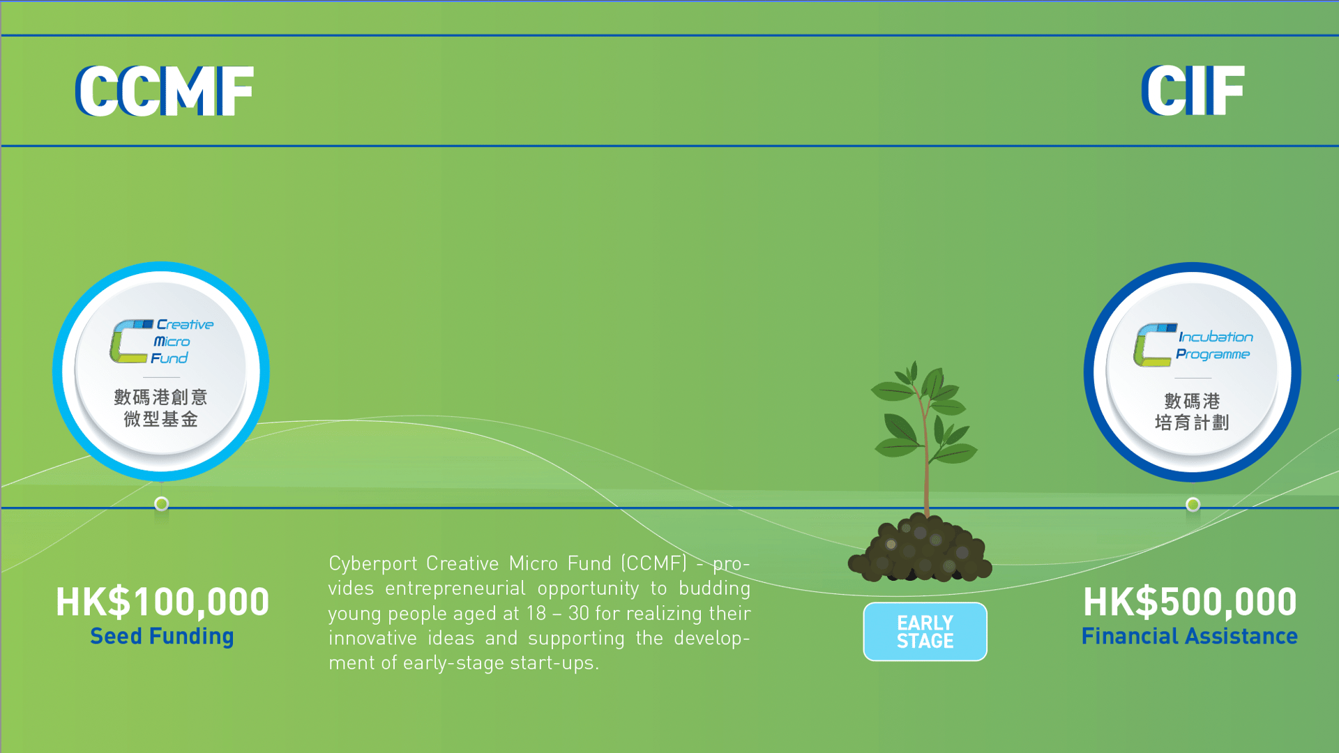 Natural environment, Terrestrial plant, Tree, Organism, Grass, Font