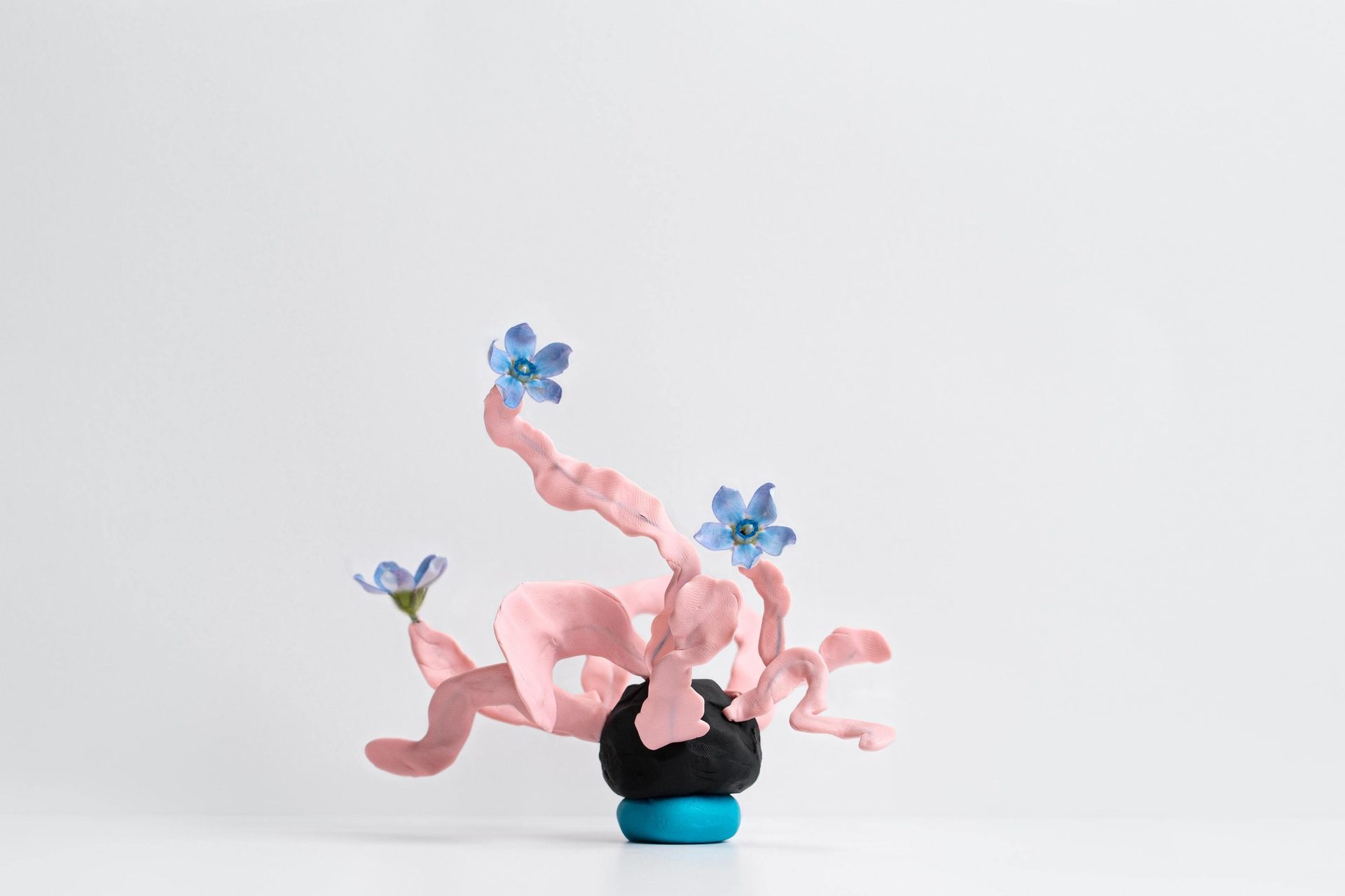 Plant, Flower, Petal, Toy, Gesture, Art, Liquid