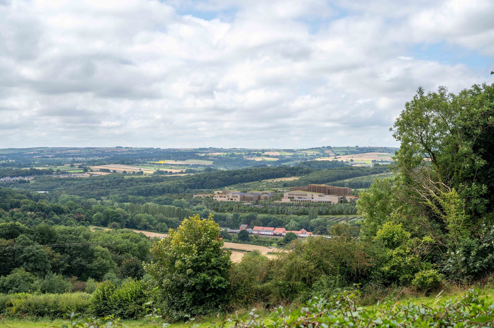 Natural environment, Daytime, Green, Nature, Tree, Leaf, Vegetation, Grassland, Ecoregion
