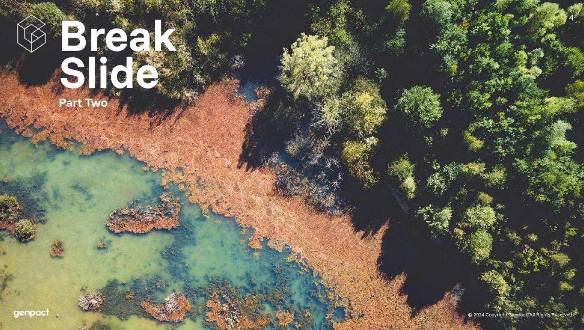 Aerial photography, Bird's-eye view