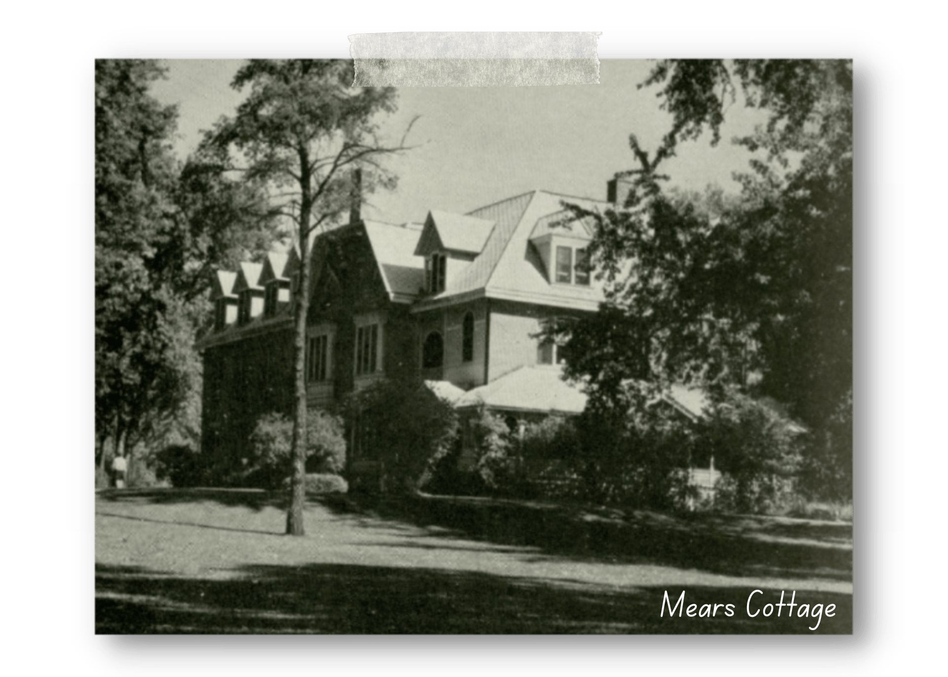 Building, Plant, Window, Tree, House