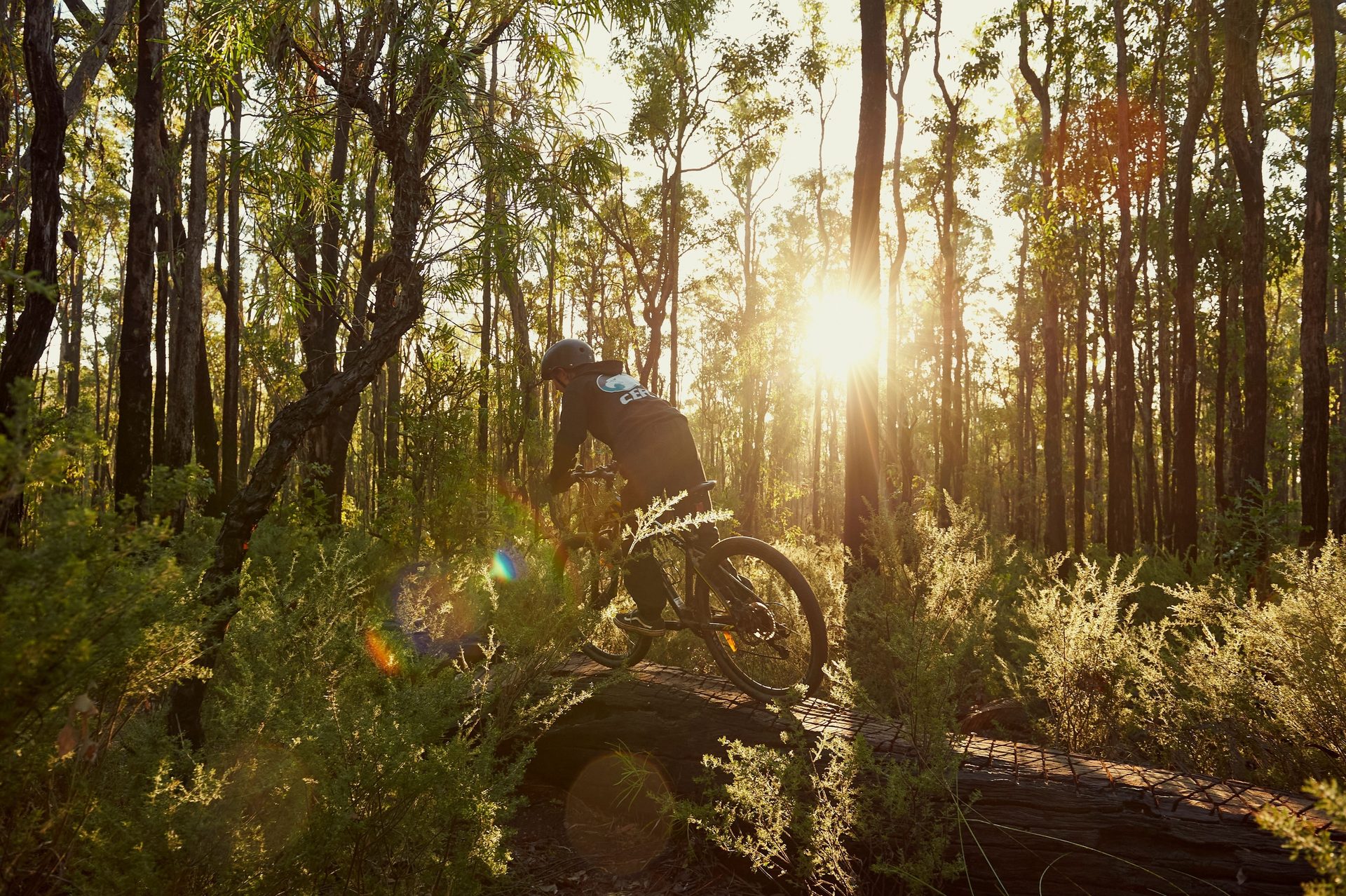 Mountain biker riding over a log in a sunny forest with bright sun flare.