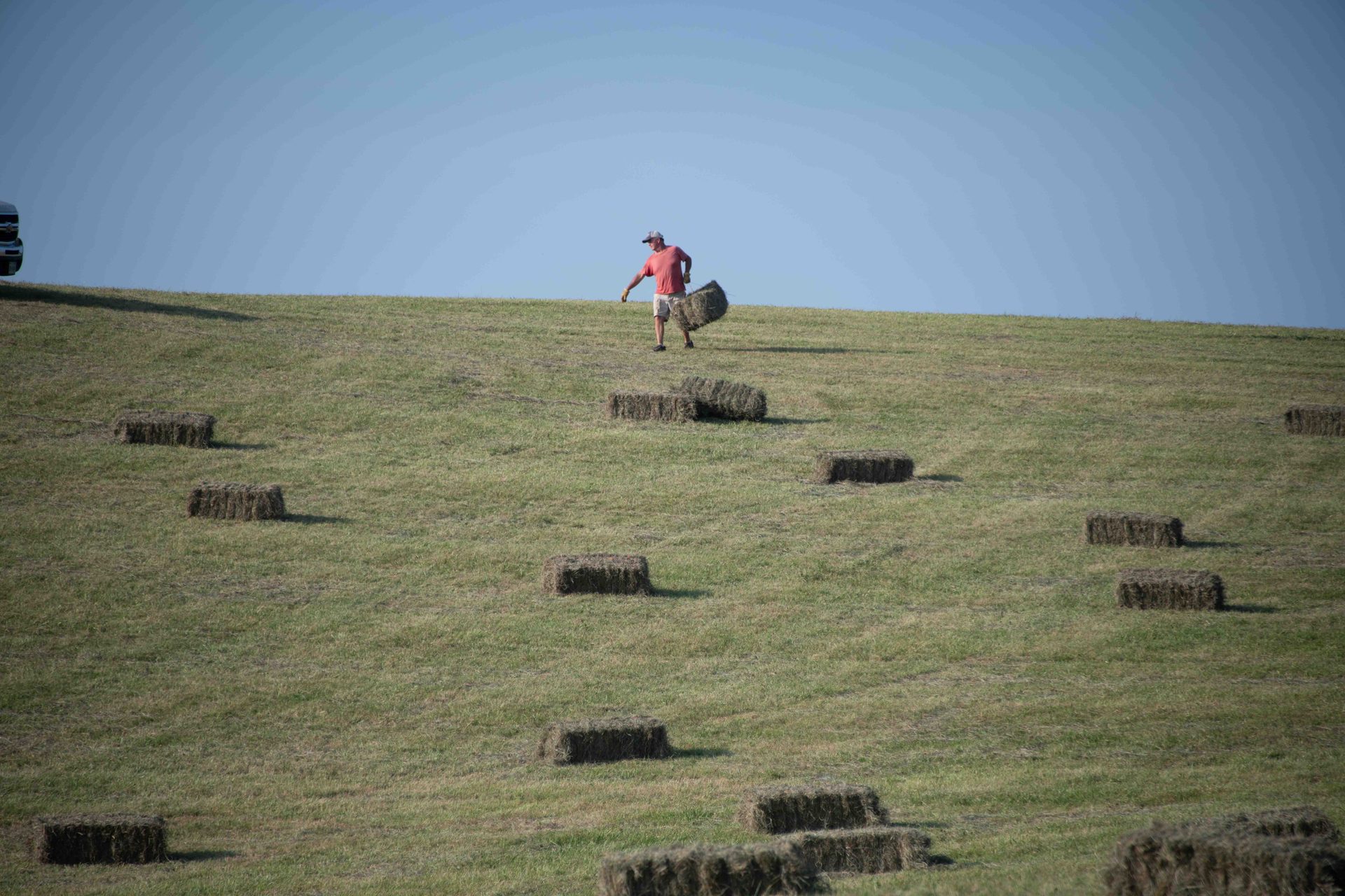 Land lot, Grass, Grassland, Hay, Plain, Field, Ecoregion, Pasture, Grasses, Steppe