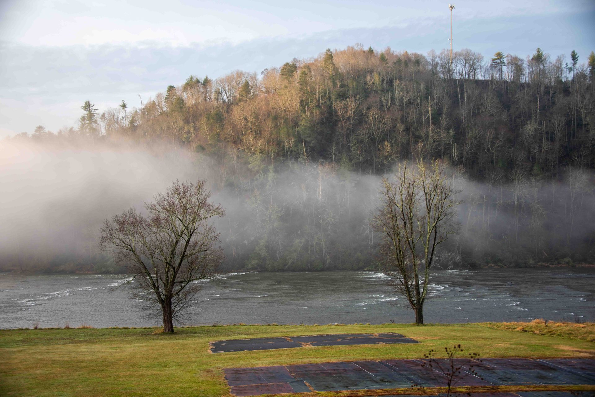 atmospheric phenomenon, Natural landscape, Water, Nature, Watercourse, Bank, Mist, River, Forest, Morning