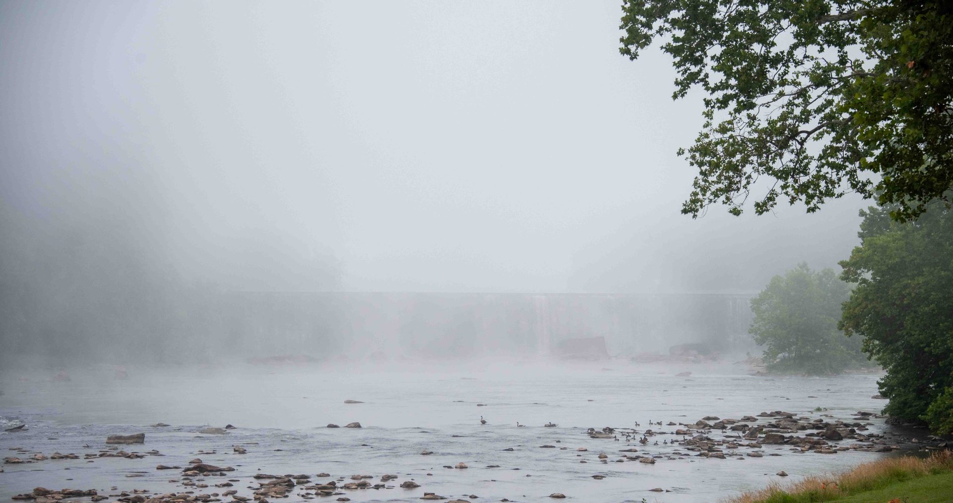 atmospheric phenomenon, Water, Fog, Mist, Haze, Morning, Grey
